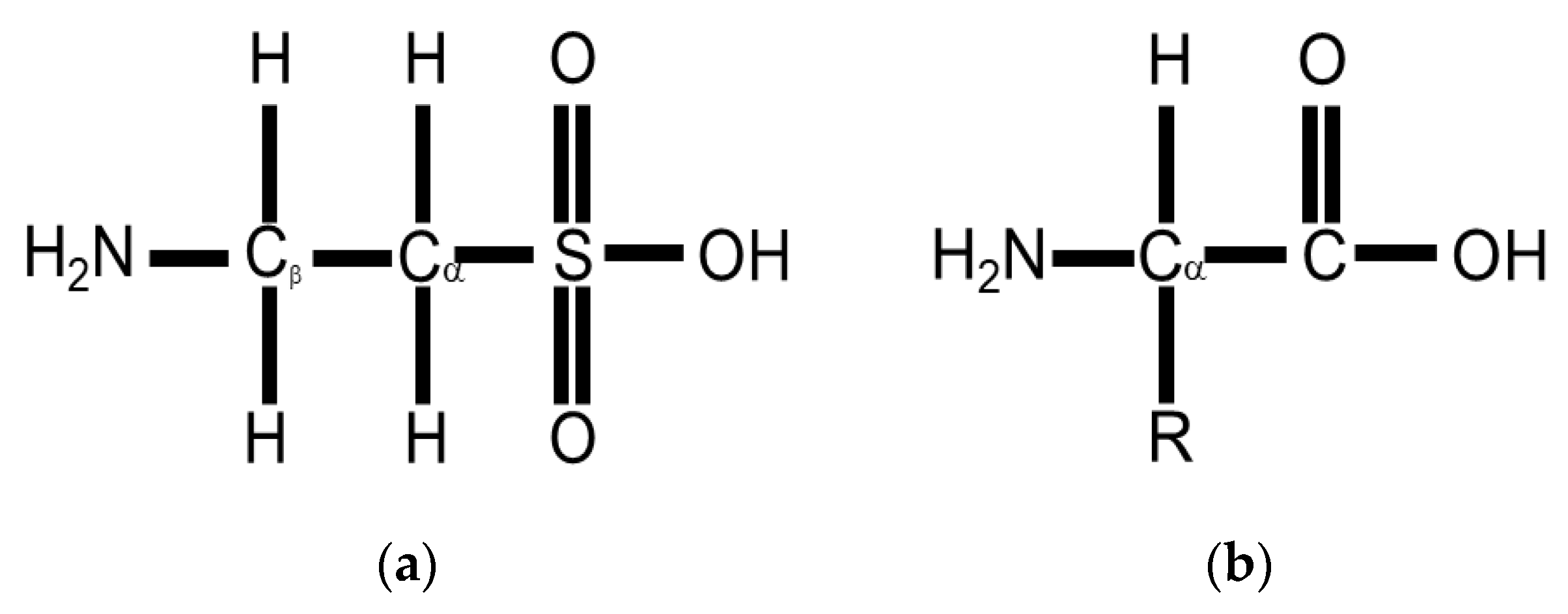 Molecules 26 04913 g001 Molecules 26 04913 g001