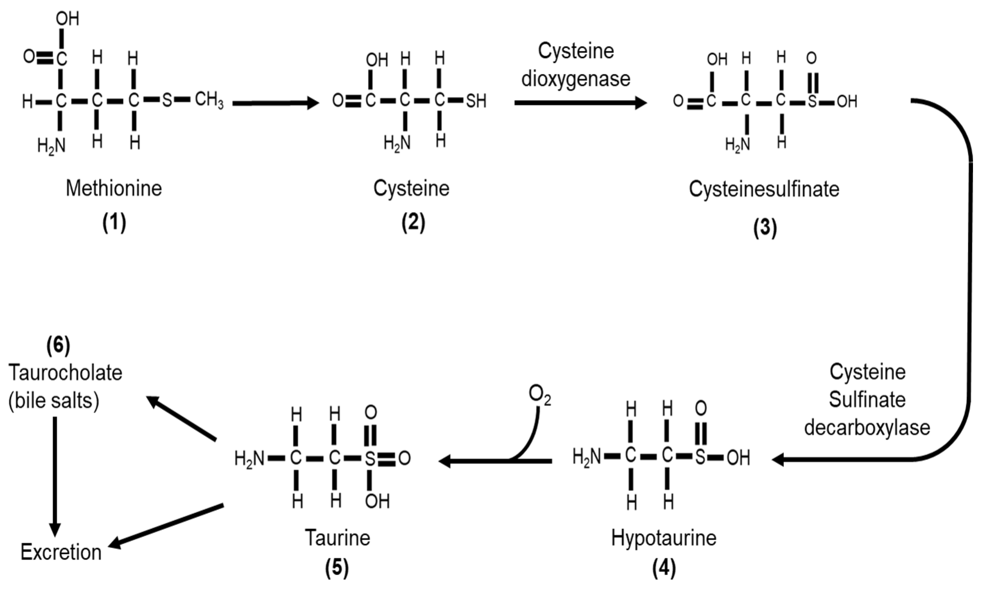 Molecules 26 04913 g002 Molecules 26 04913 g002
