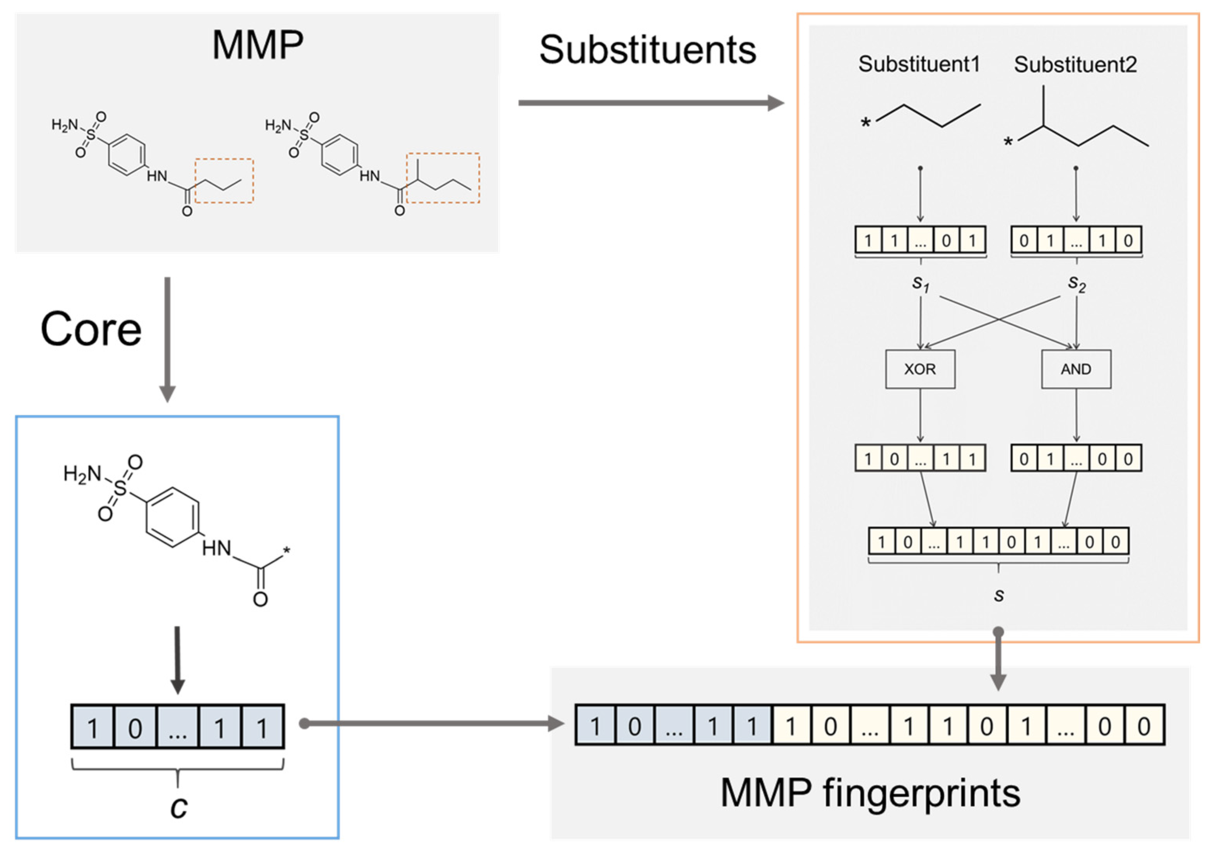 Molecules 26 04916 g004