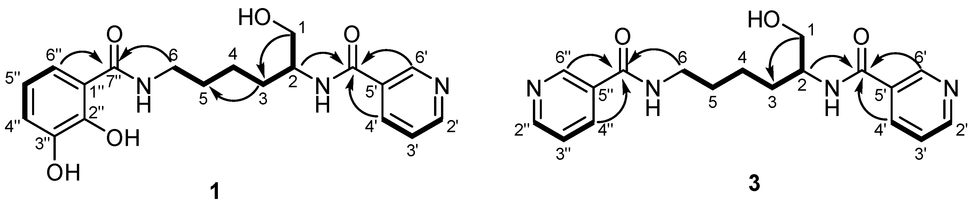 Molecules 26 04929 g004