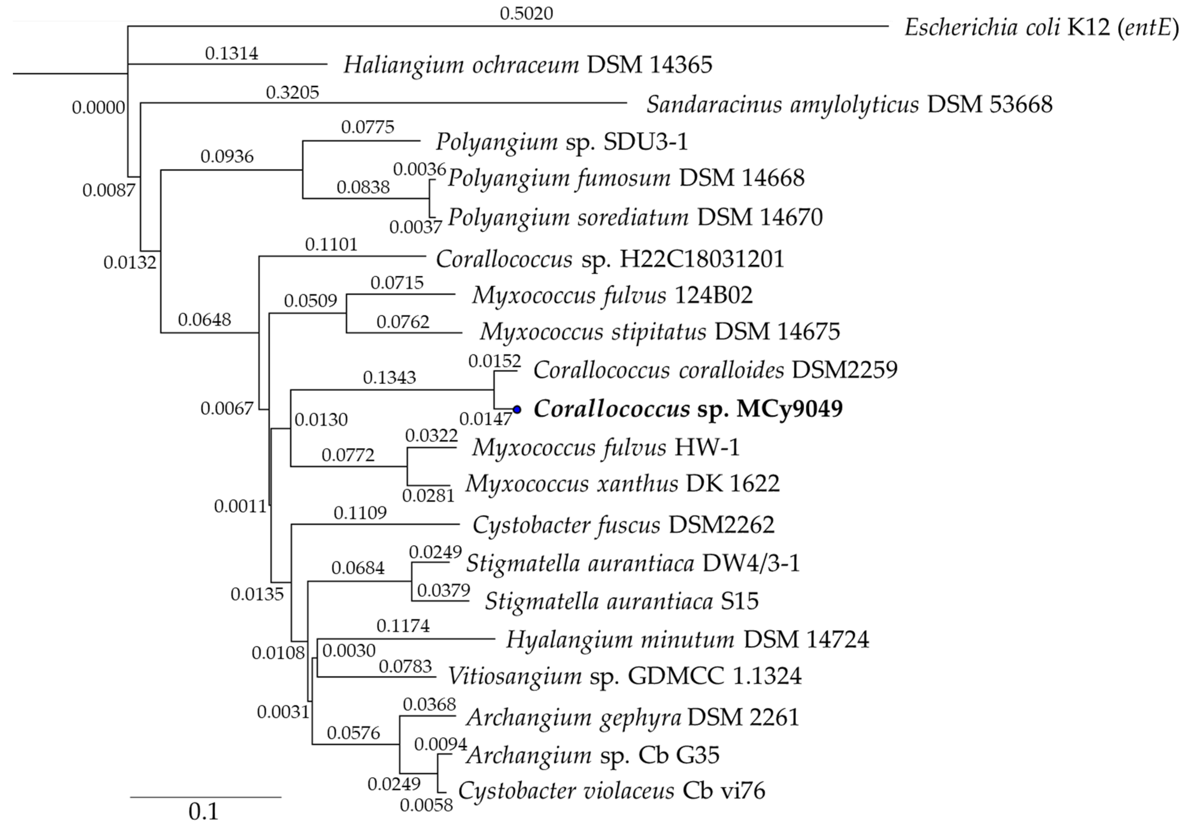 Molecules 26 04929 g006