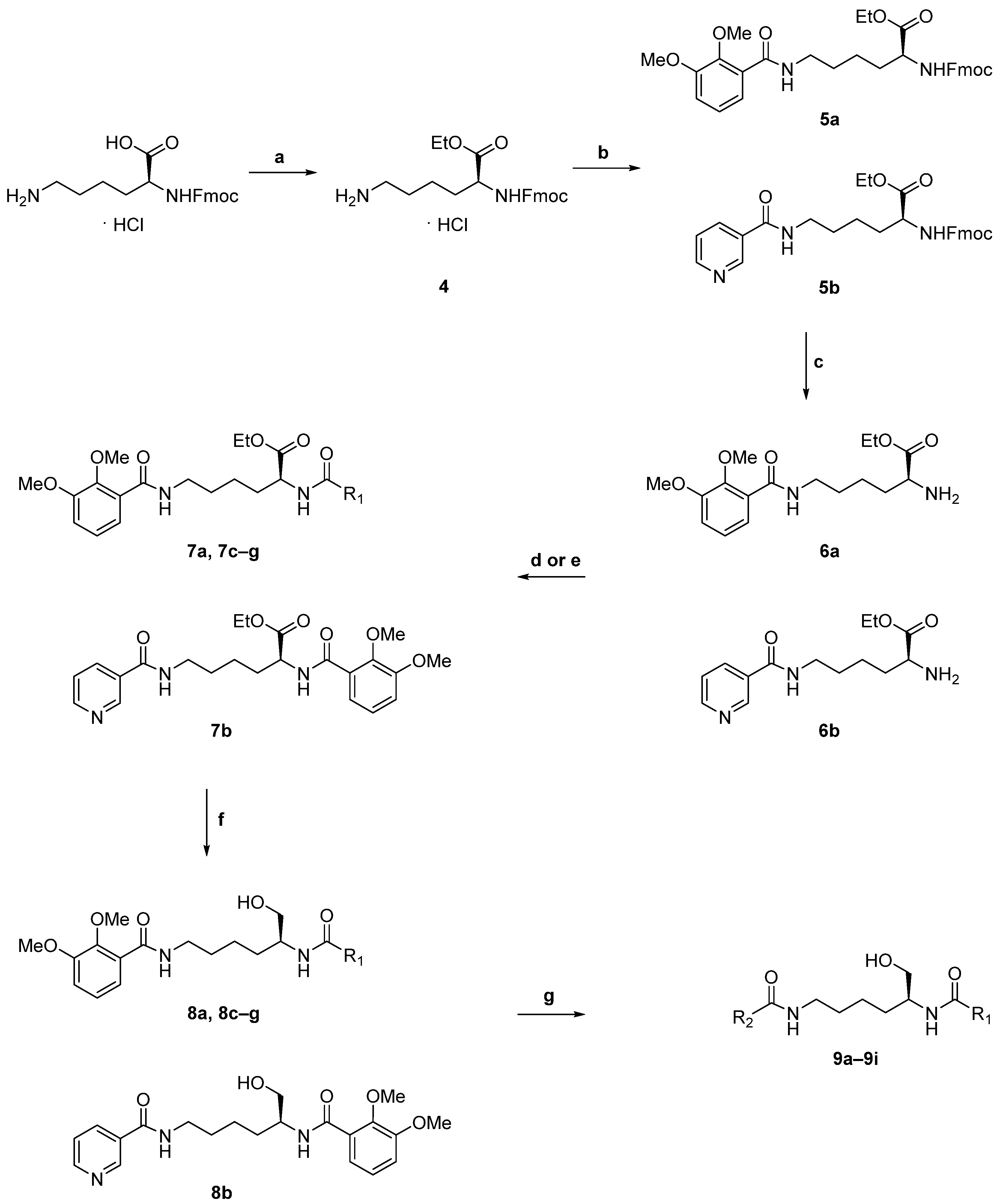 Molecules 26 04929 sch001