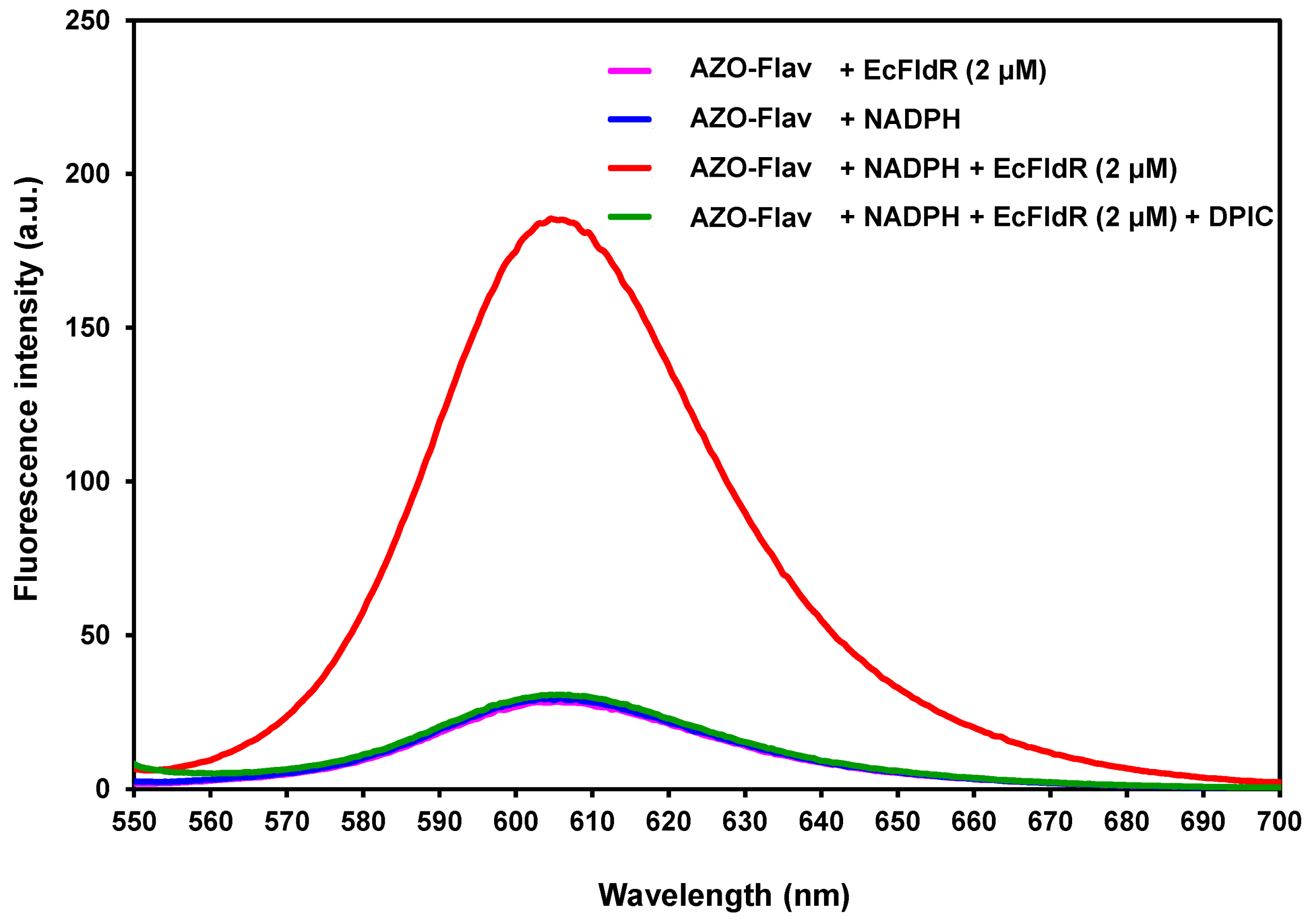 Molecules 26 04938 g003