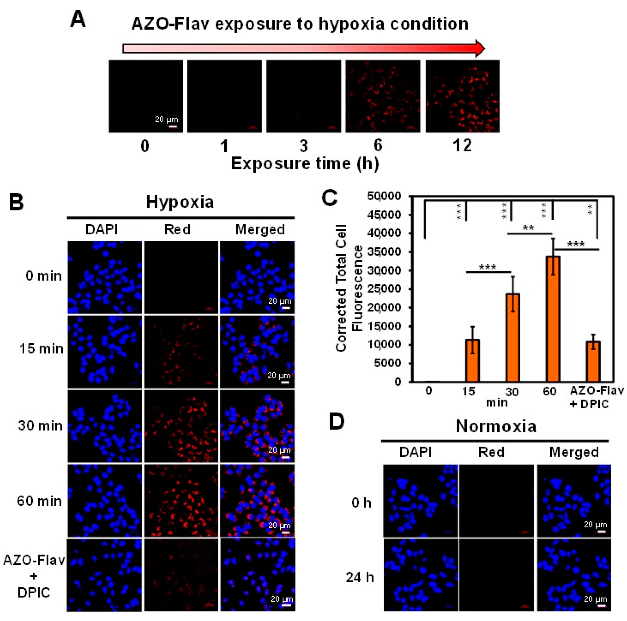 Molecules 26 04938 g006