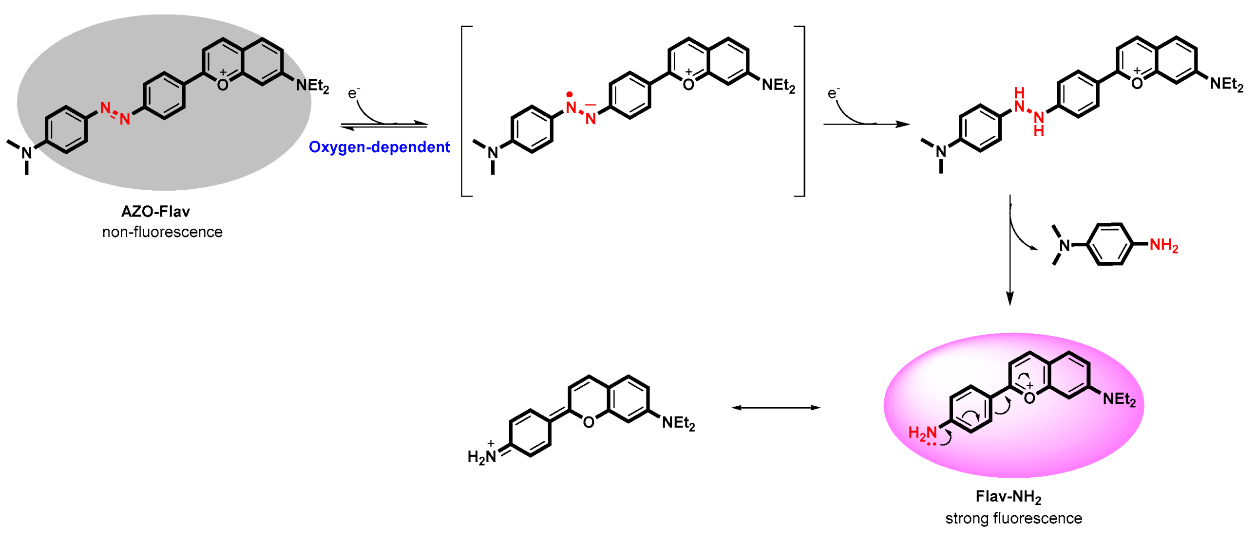 Molecules 26 04938 sch001