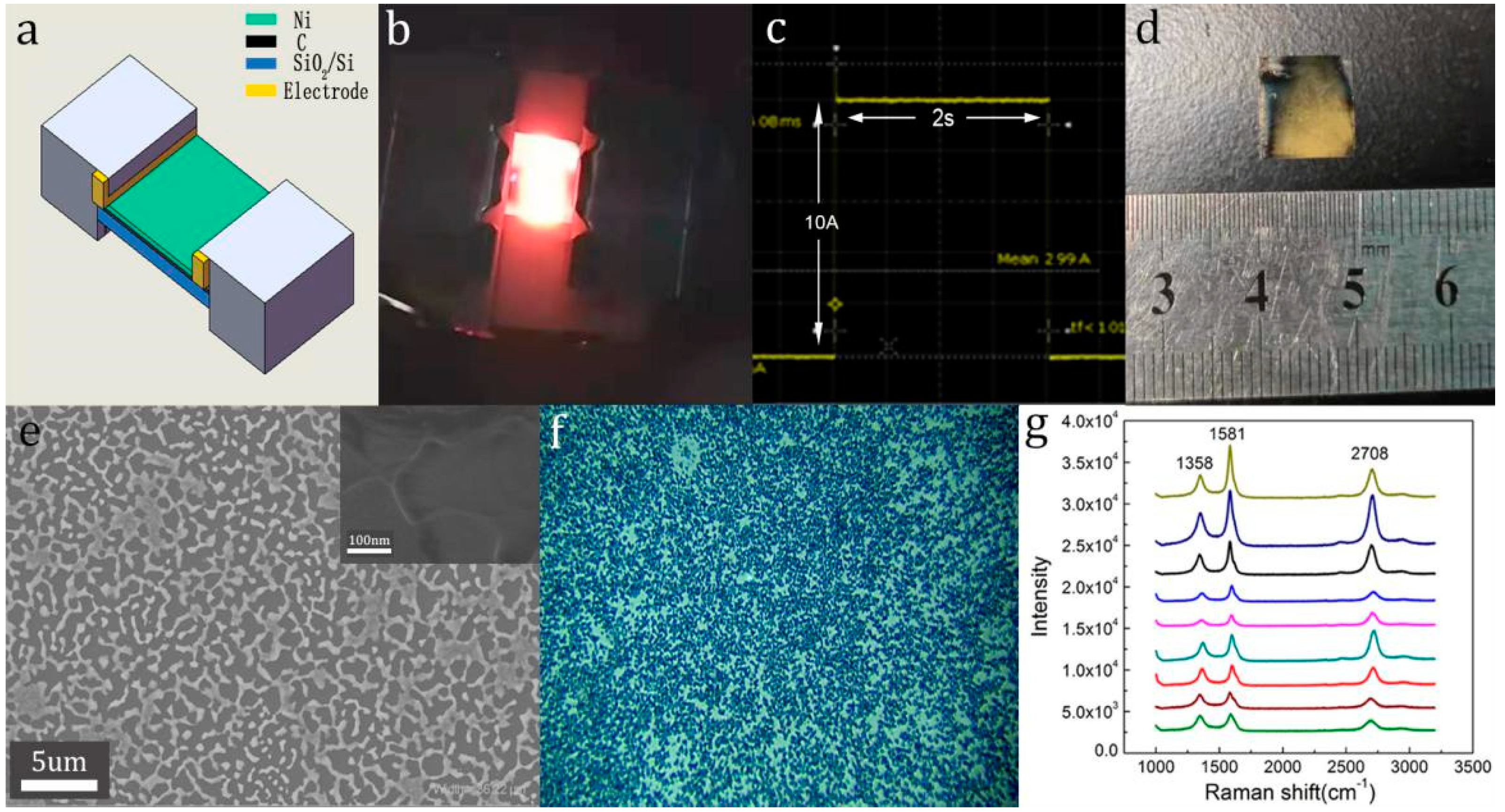 Molecules 26 04940 g001