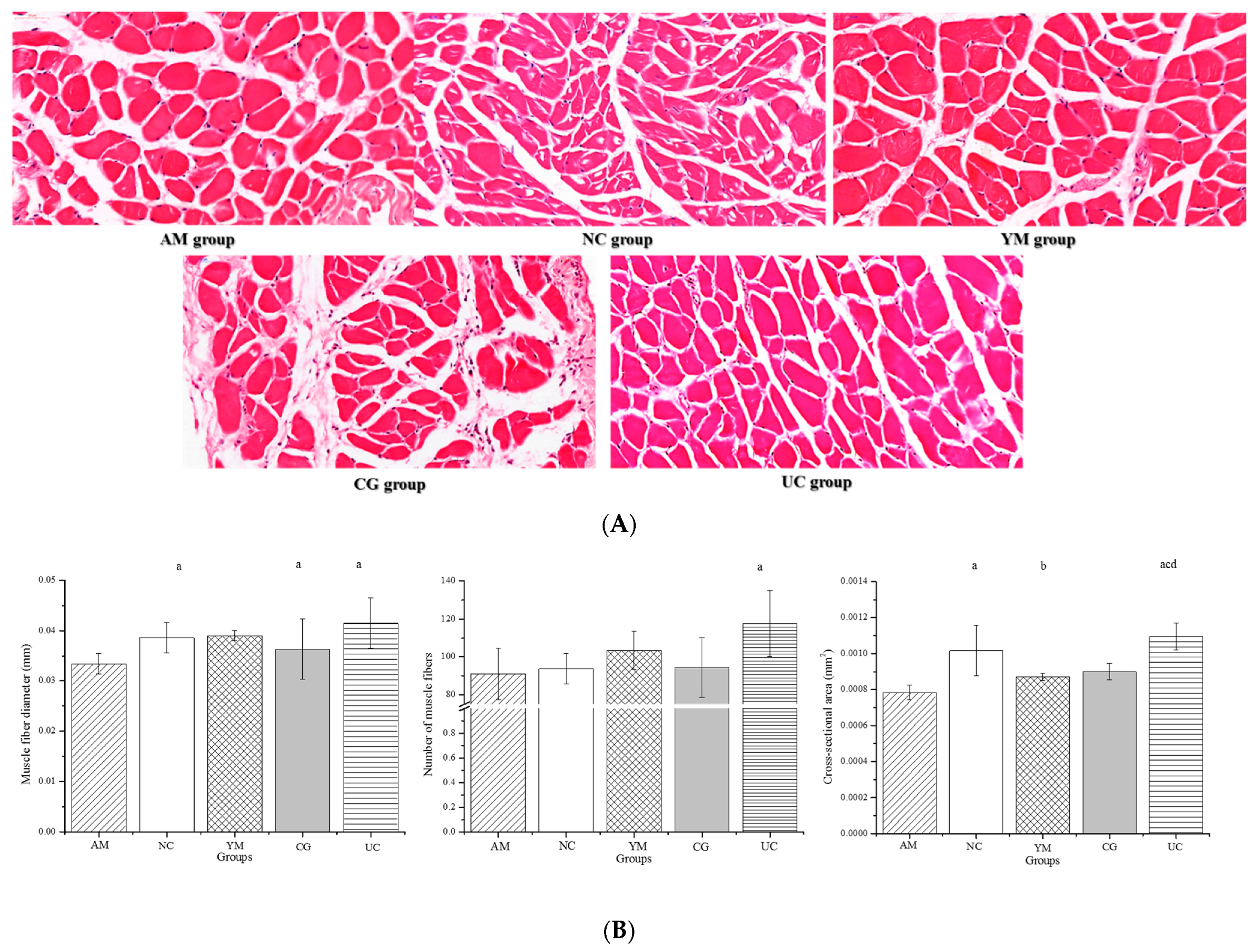 Molecules 26 04942 g005a