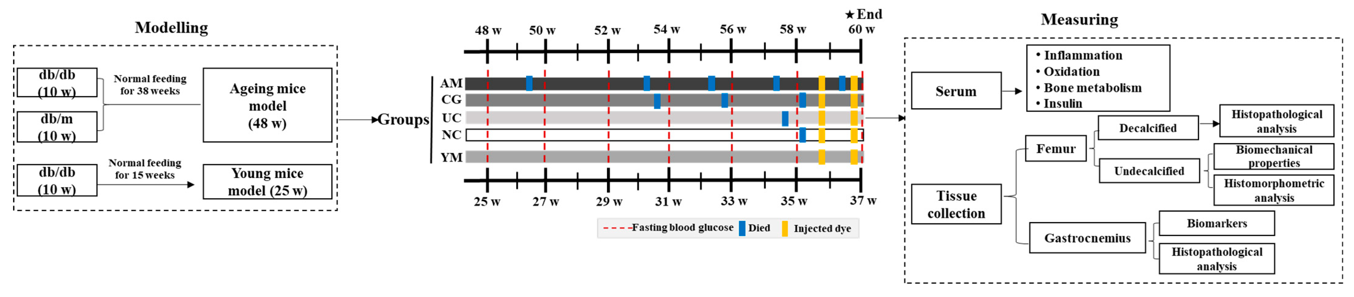 Molecules 26 04942 g007