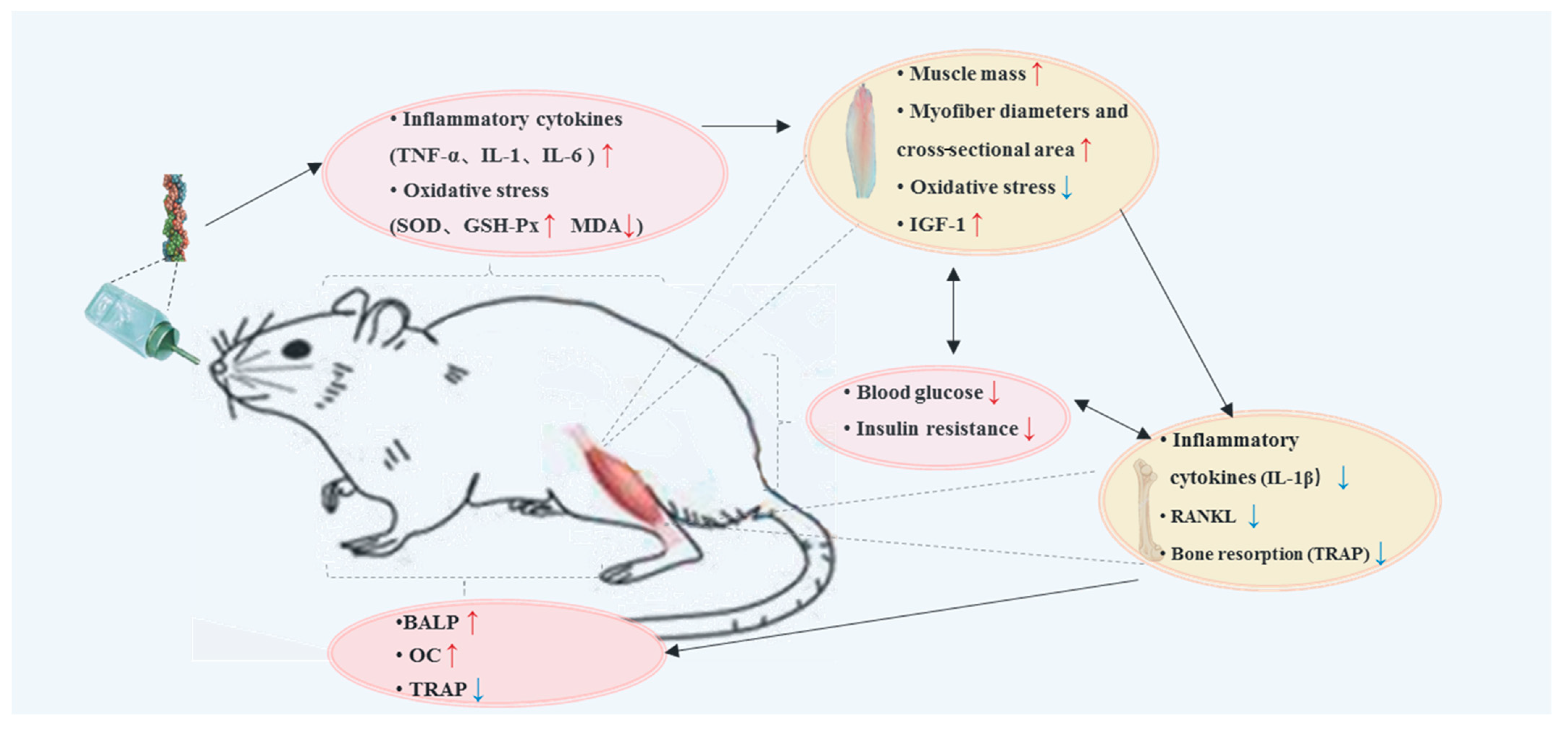 Molecules 26 04942 g008