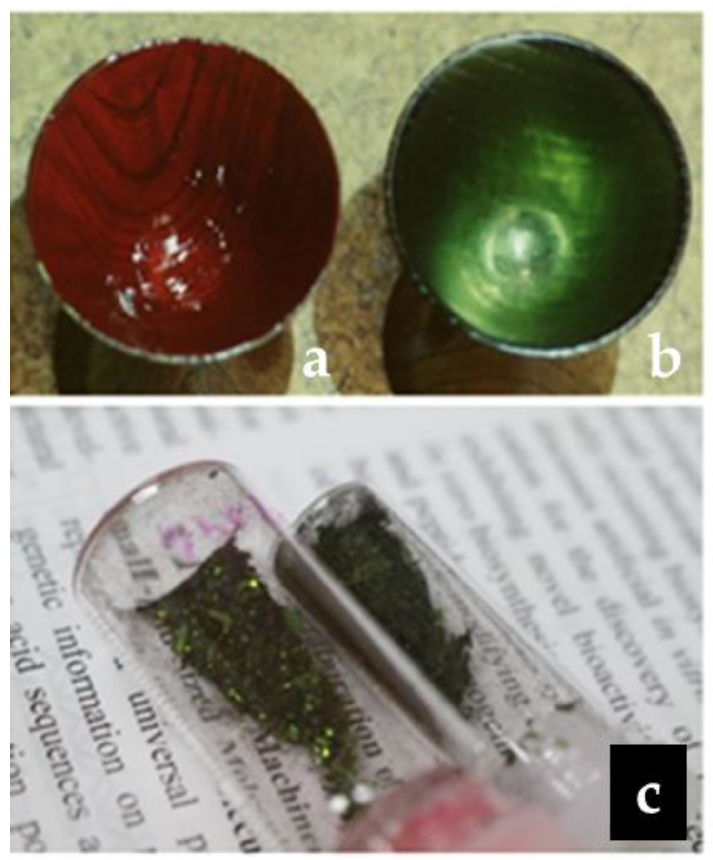 Molecules 26 04953 g001