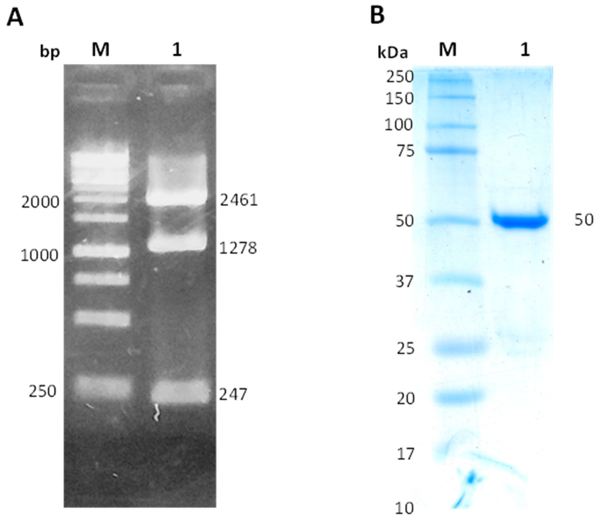 Molecules 26 04955 g002