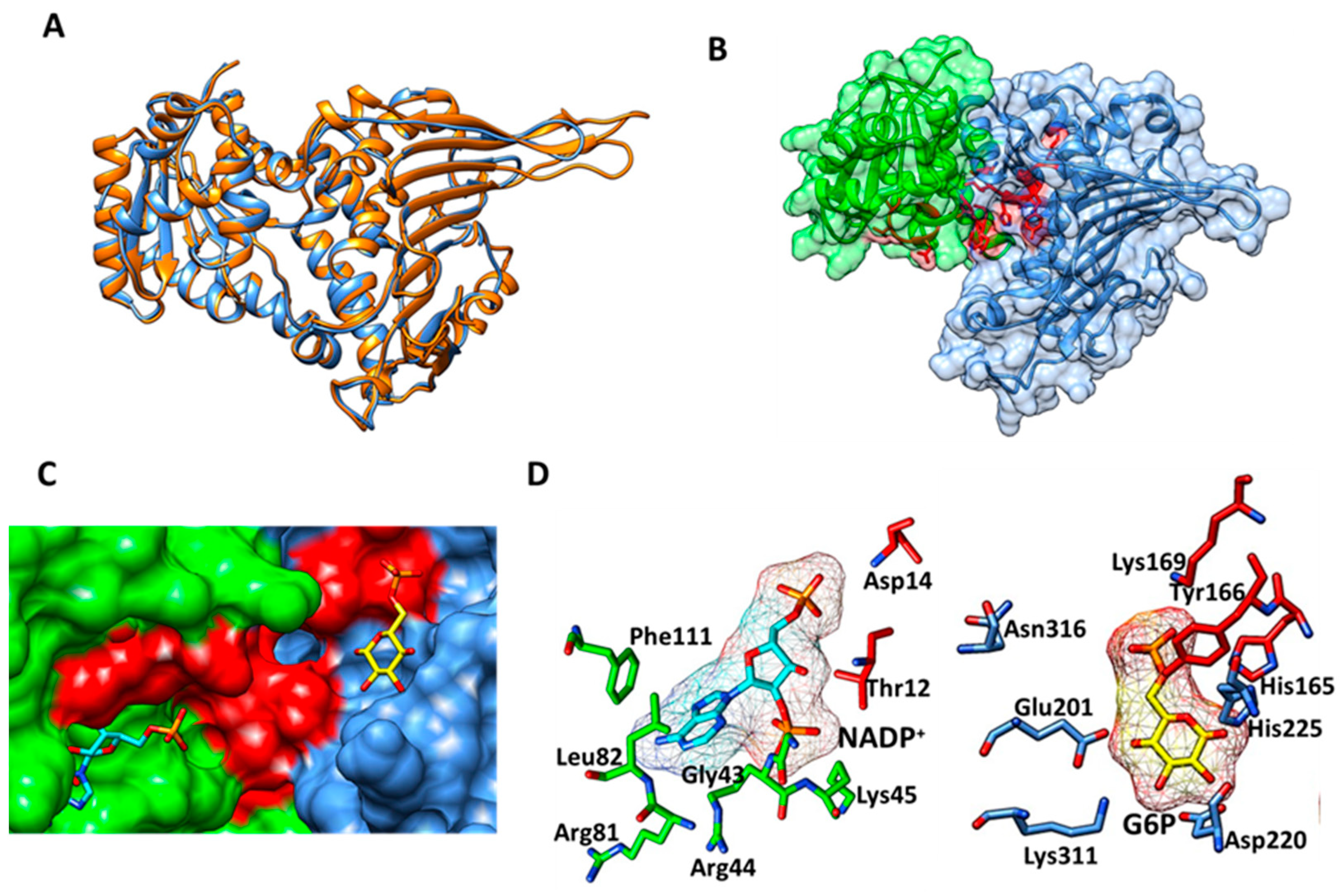 Molecules 26 04955 g004