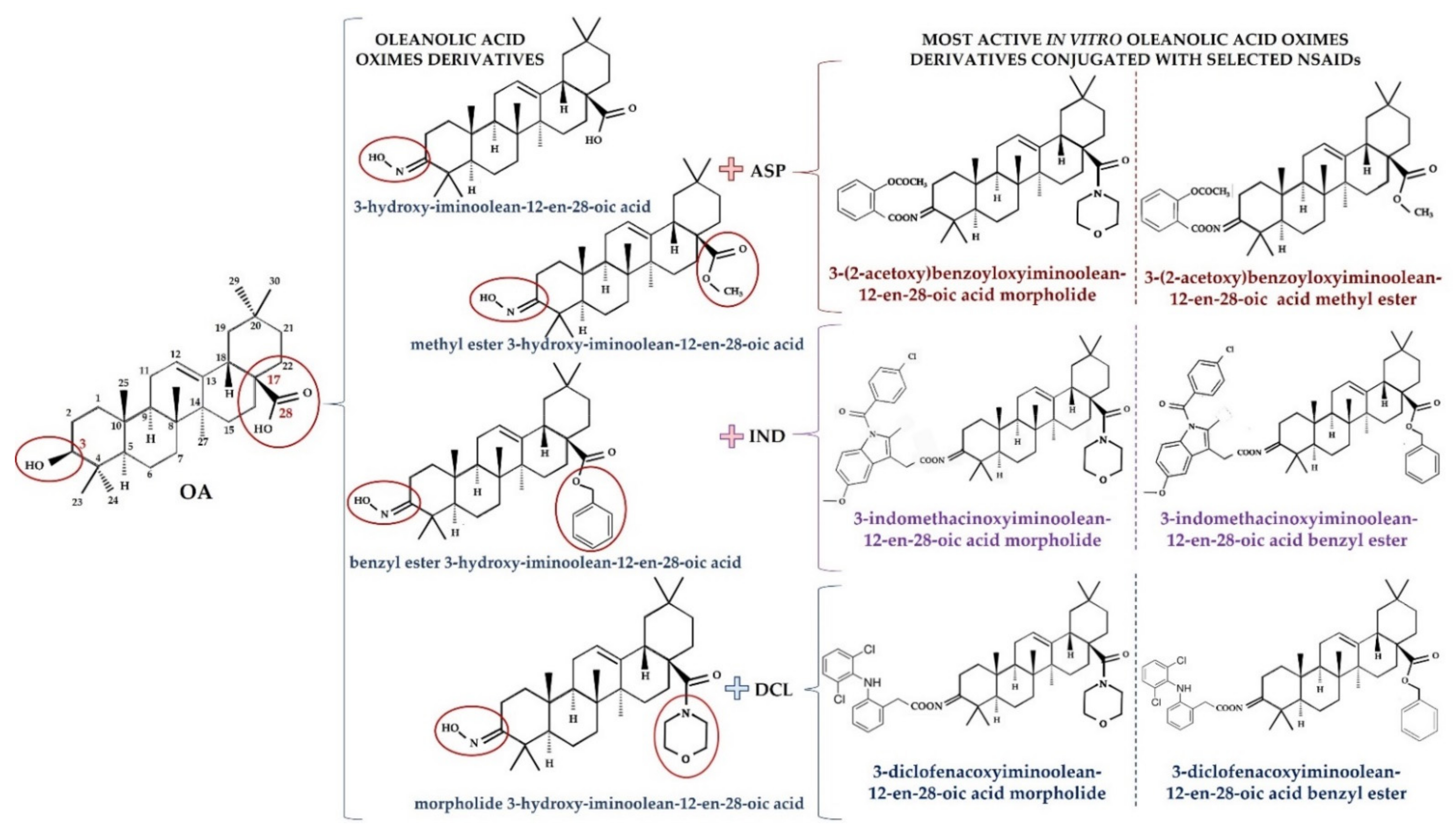 Molecules 26 04957 g002