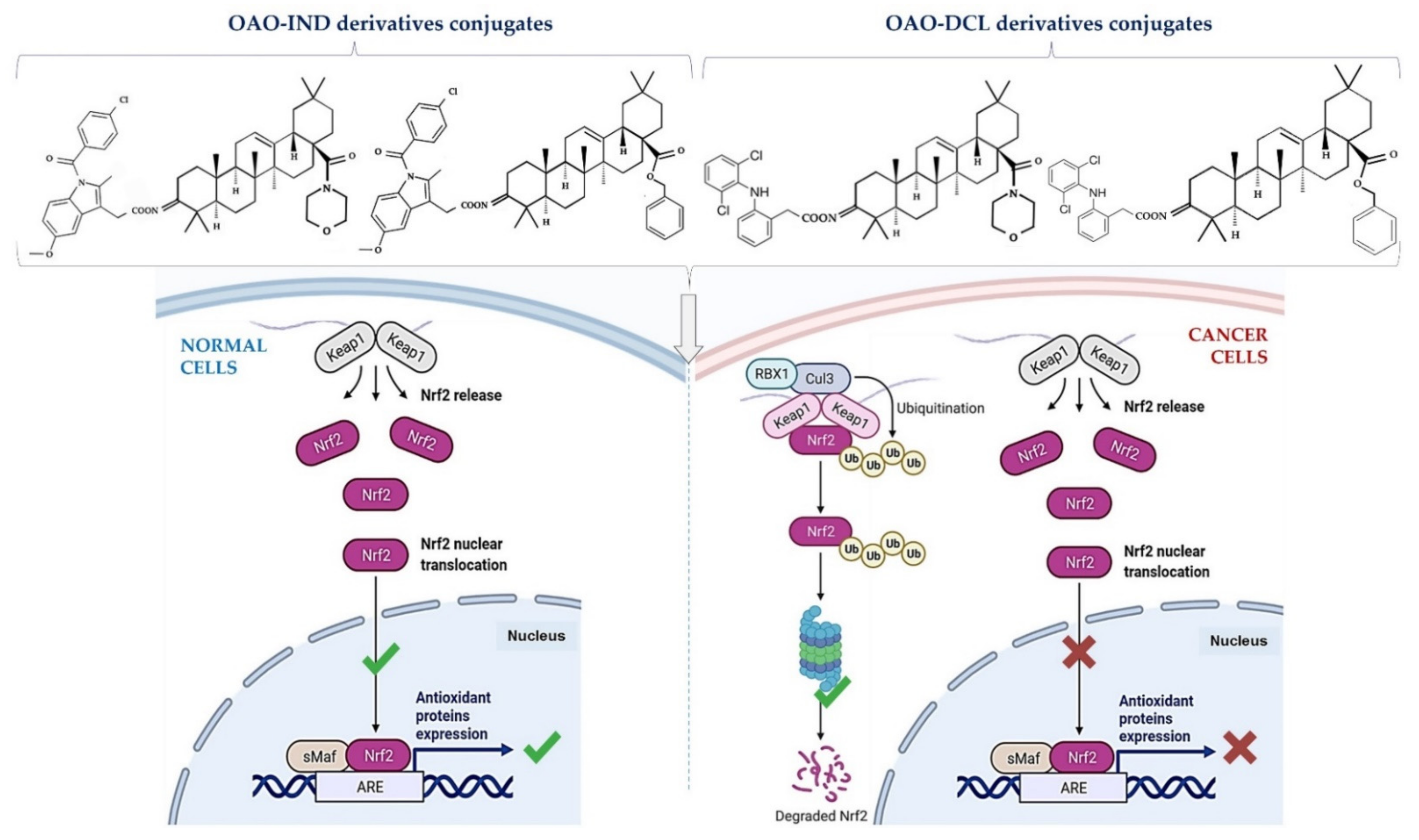 Molecules 26 04957 g003