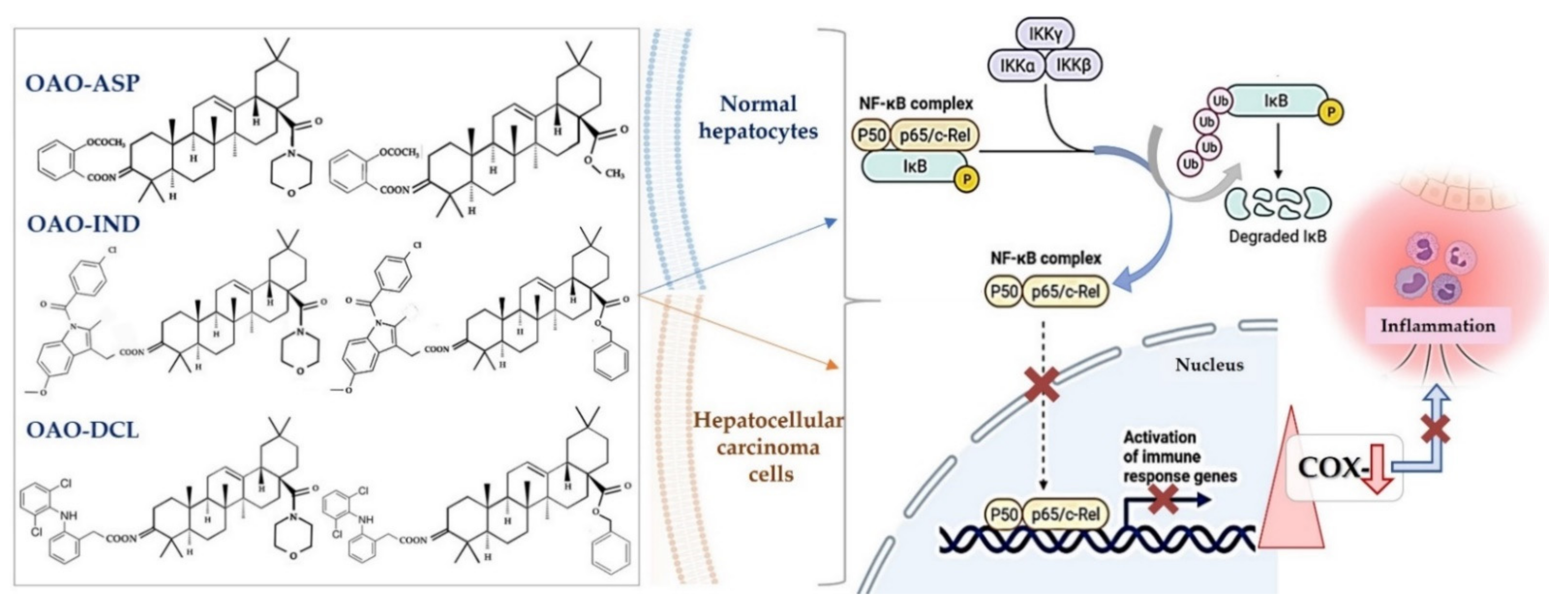 Molecules 26 04957 g004