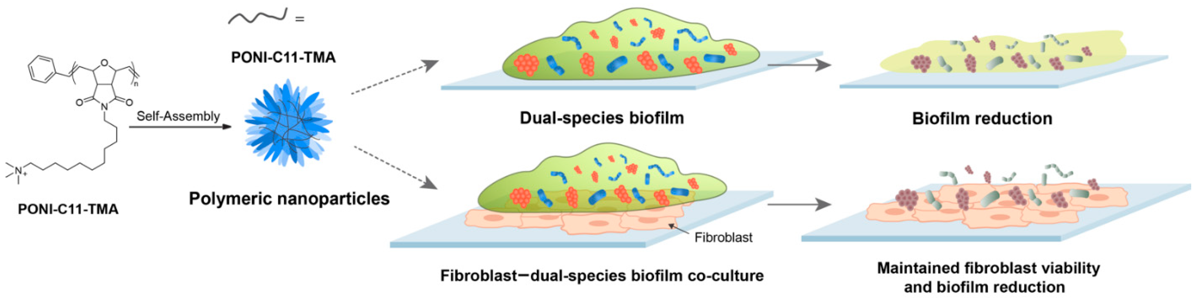 Molecules 26 04958 sch001
