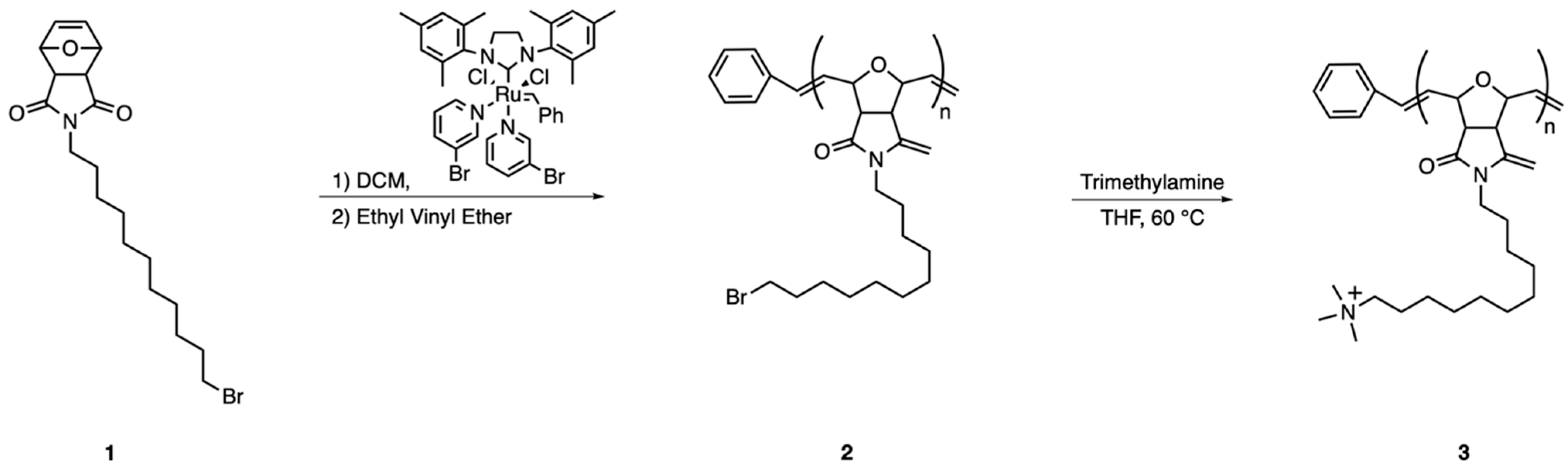 Molecules 26 04958 sch002