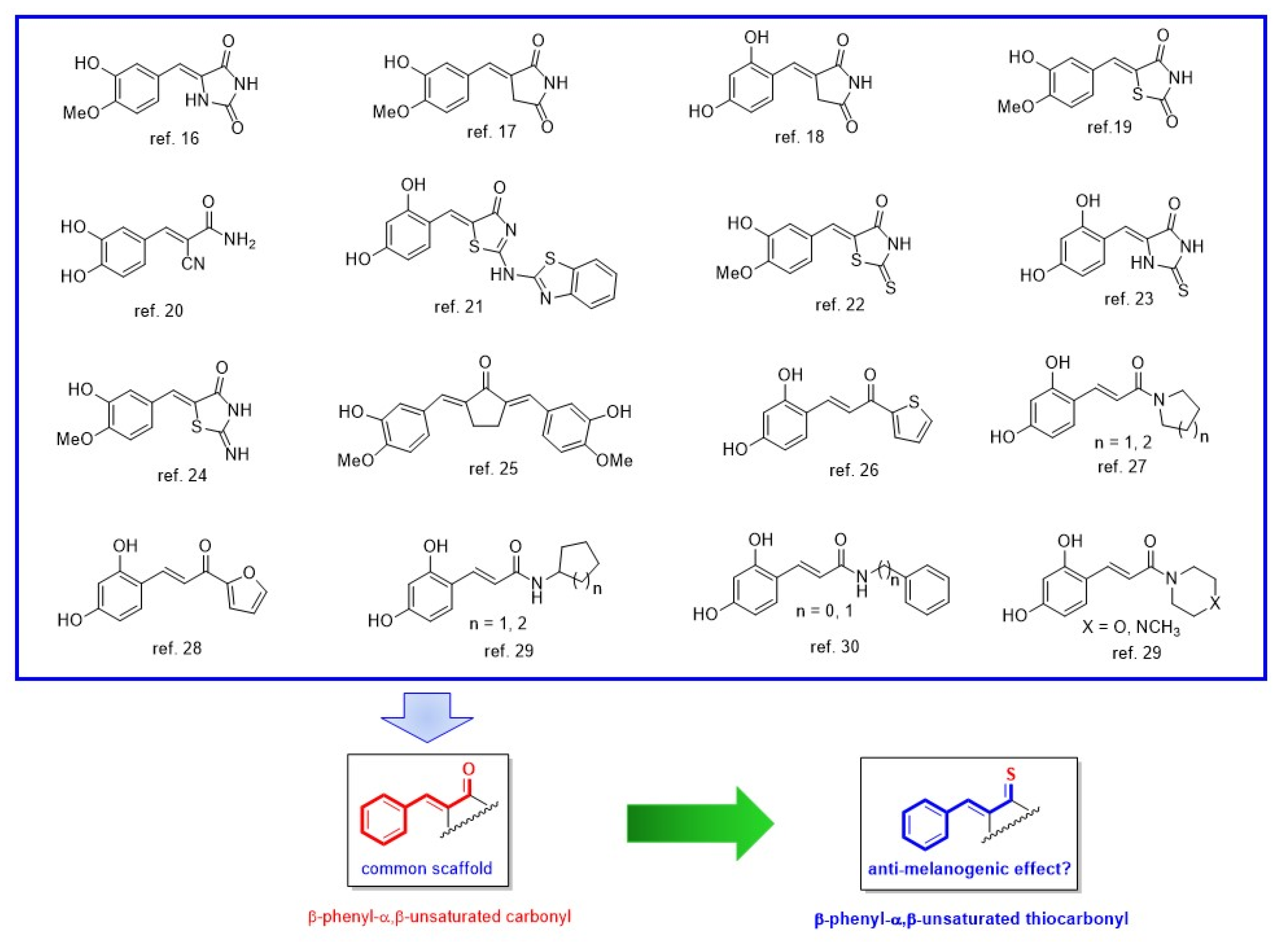 Molecules 26 04963 g001