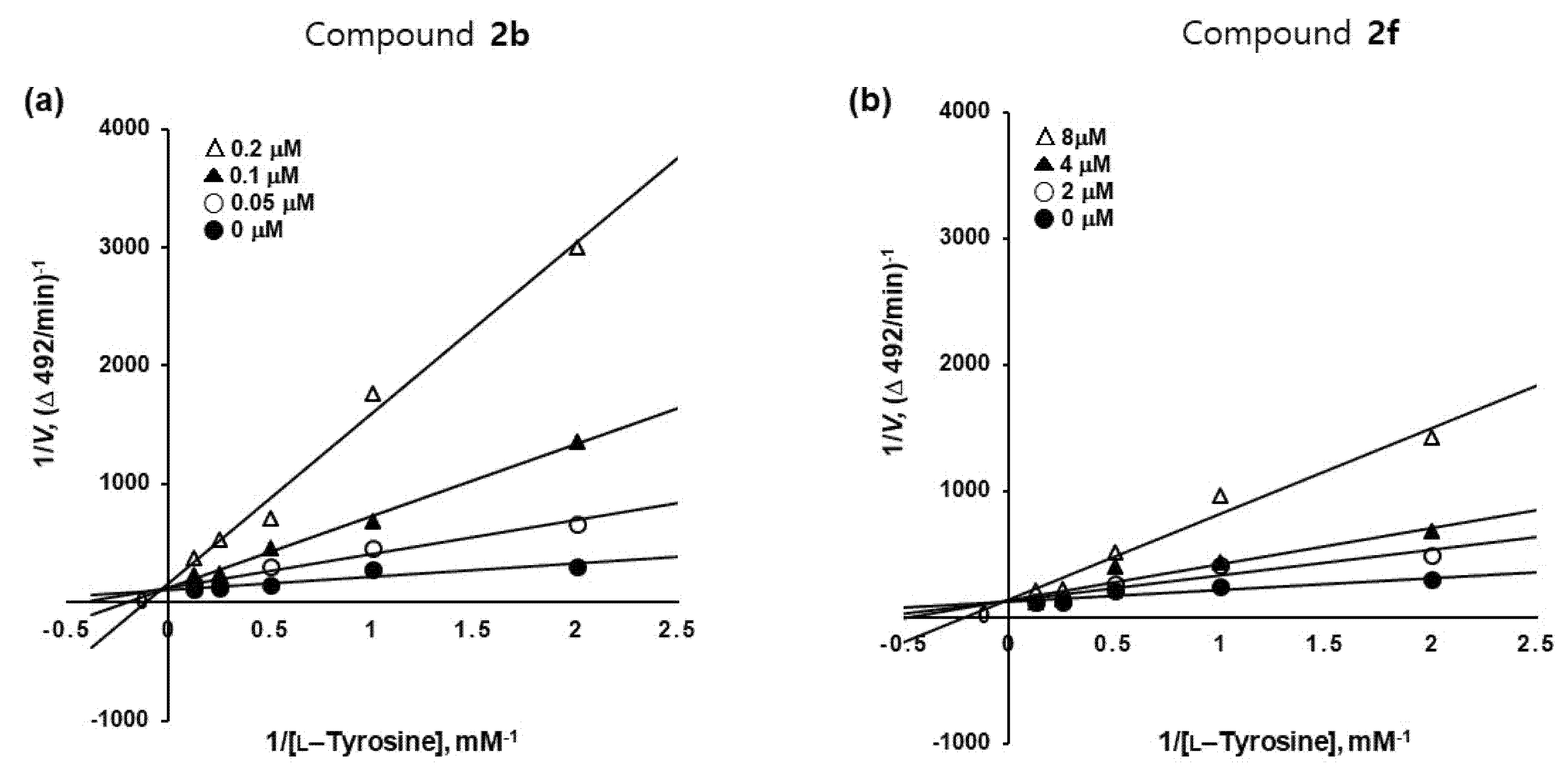Molecules 26 04963 g004