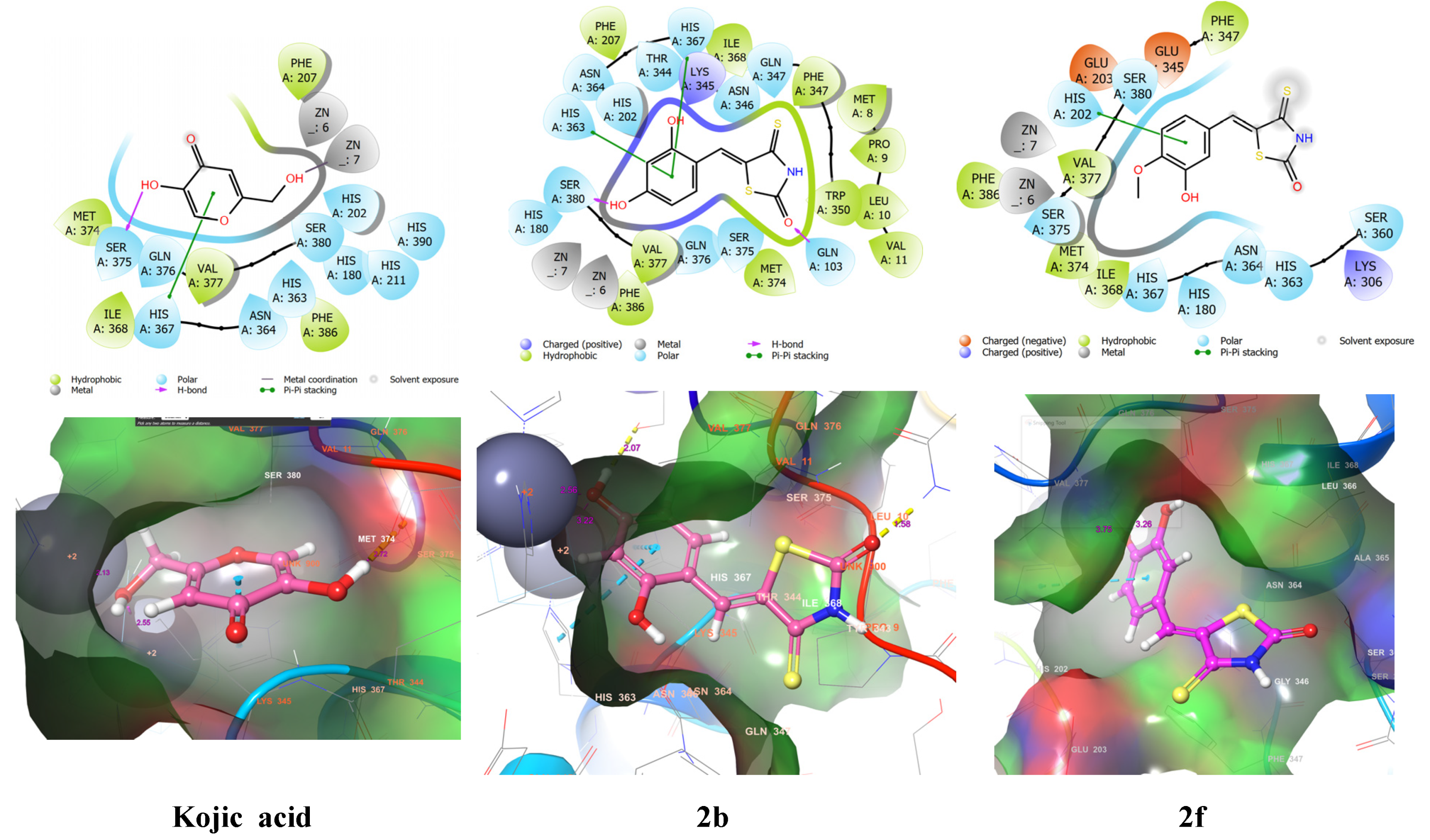 Molecules 26 04963 g006