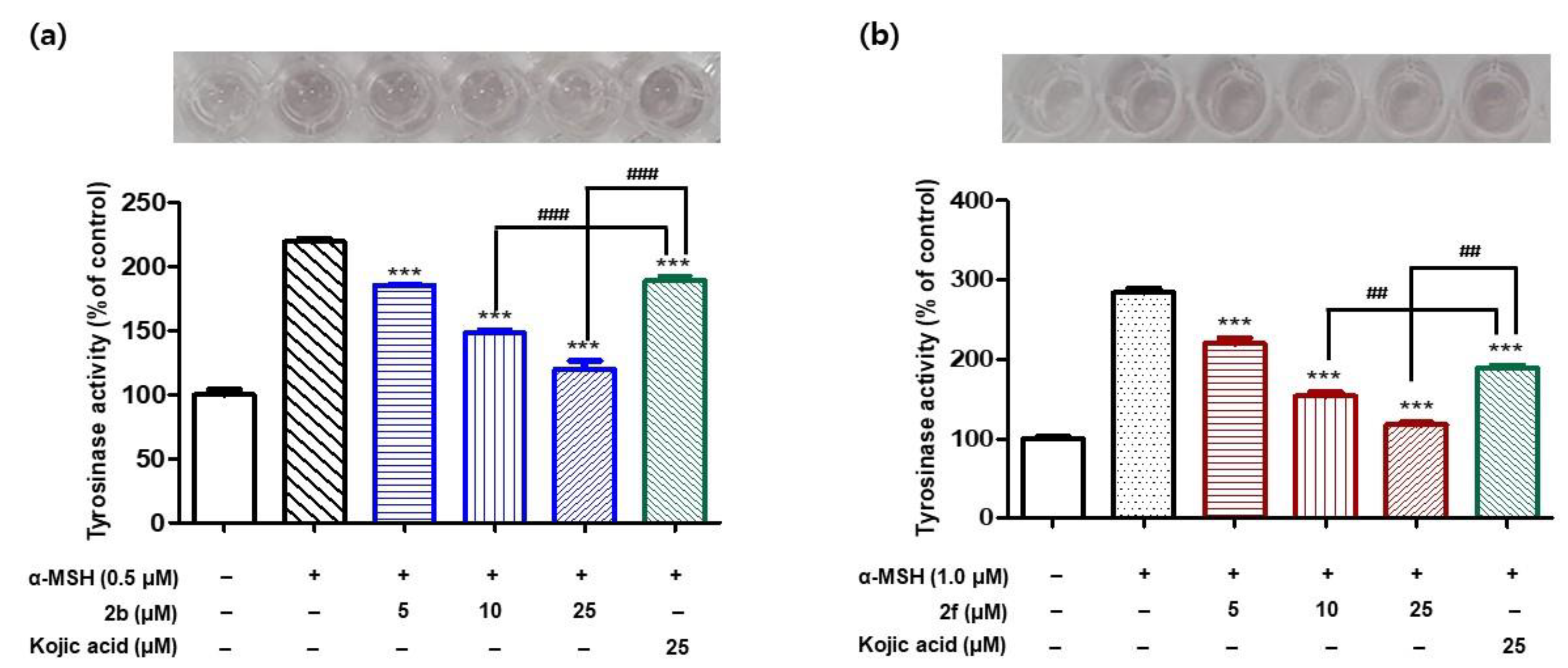 Molecules 26 04963 g009