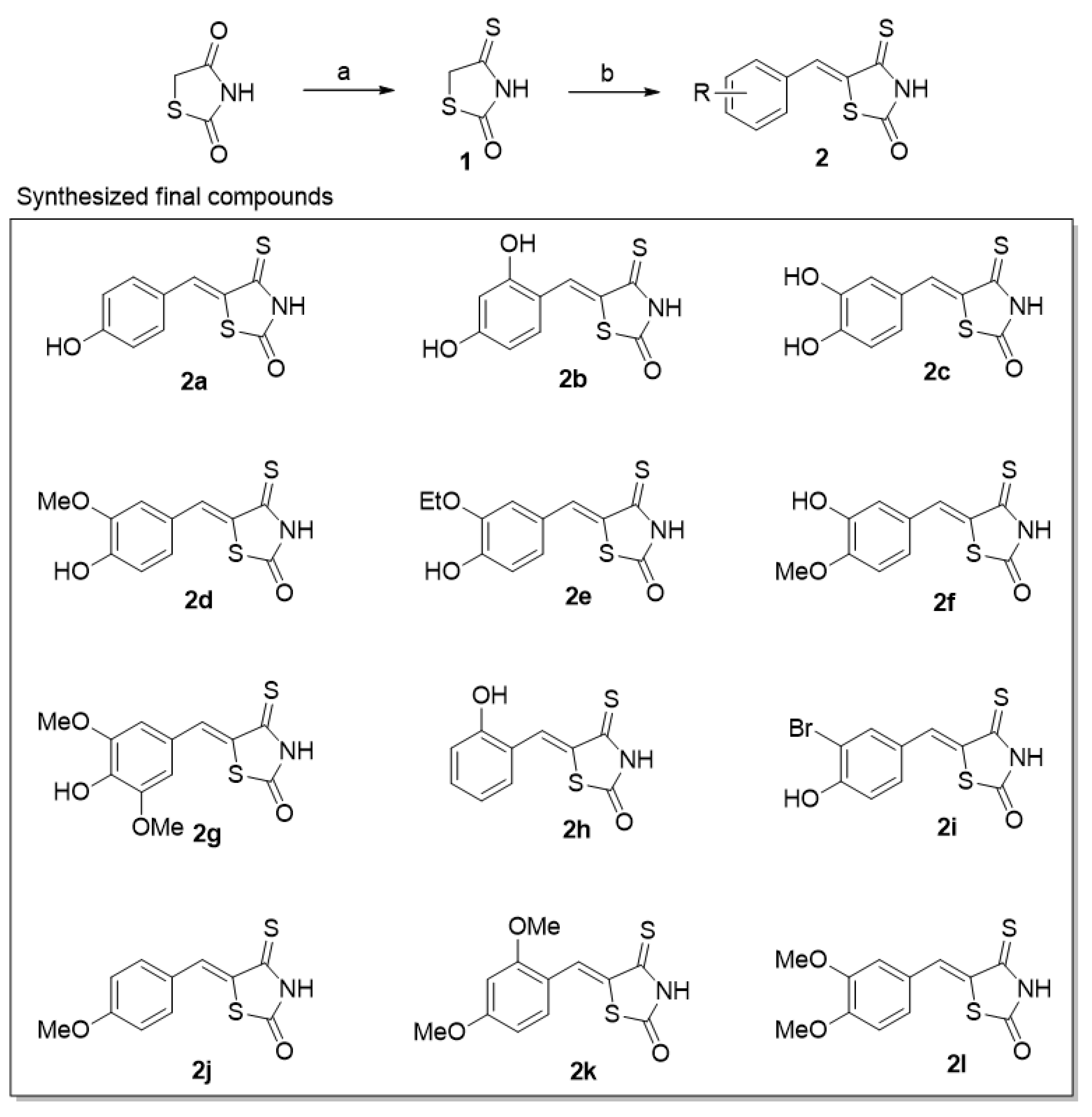 Molecules 26 04963 sch001