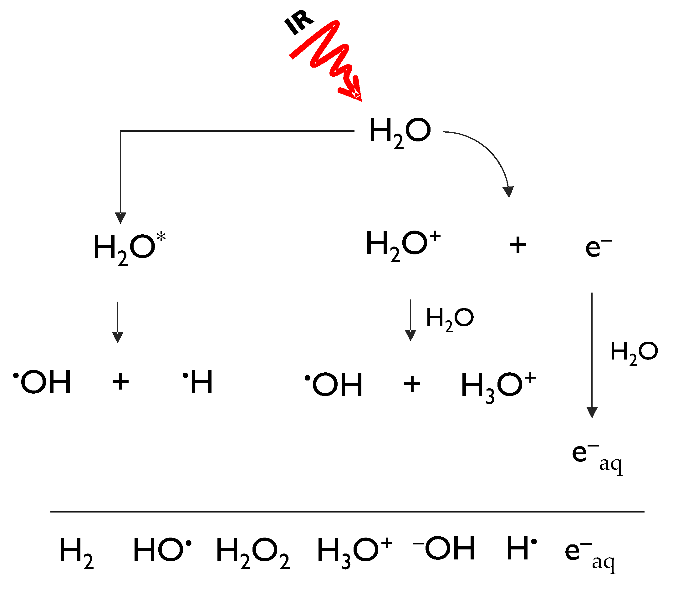 Molecules 26 04969 g001 Molecules 26 04969 g001