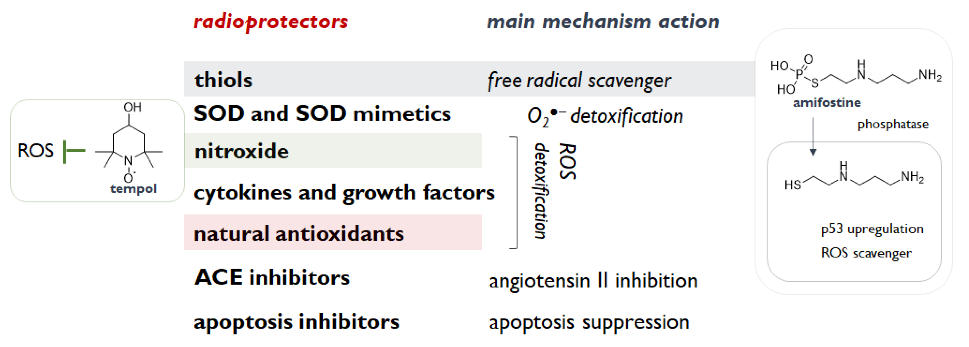 Molecules 26 04969 g002 Molecules 26 04969 g002