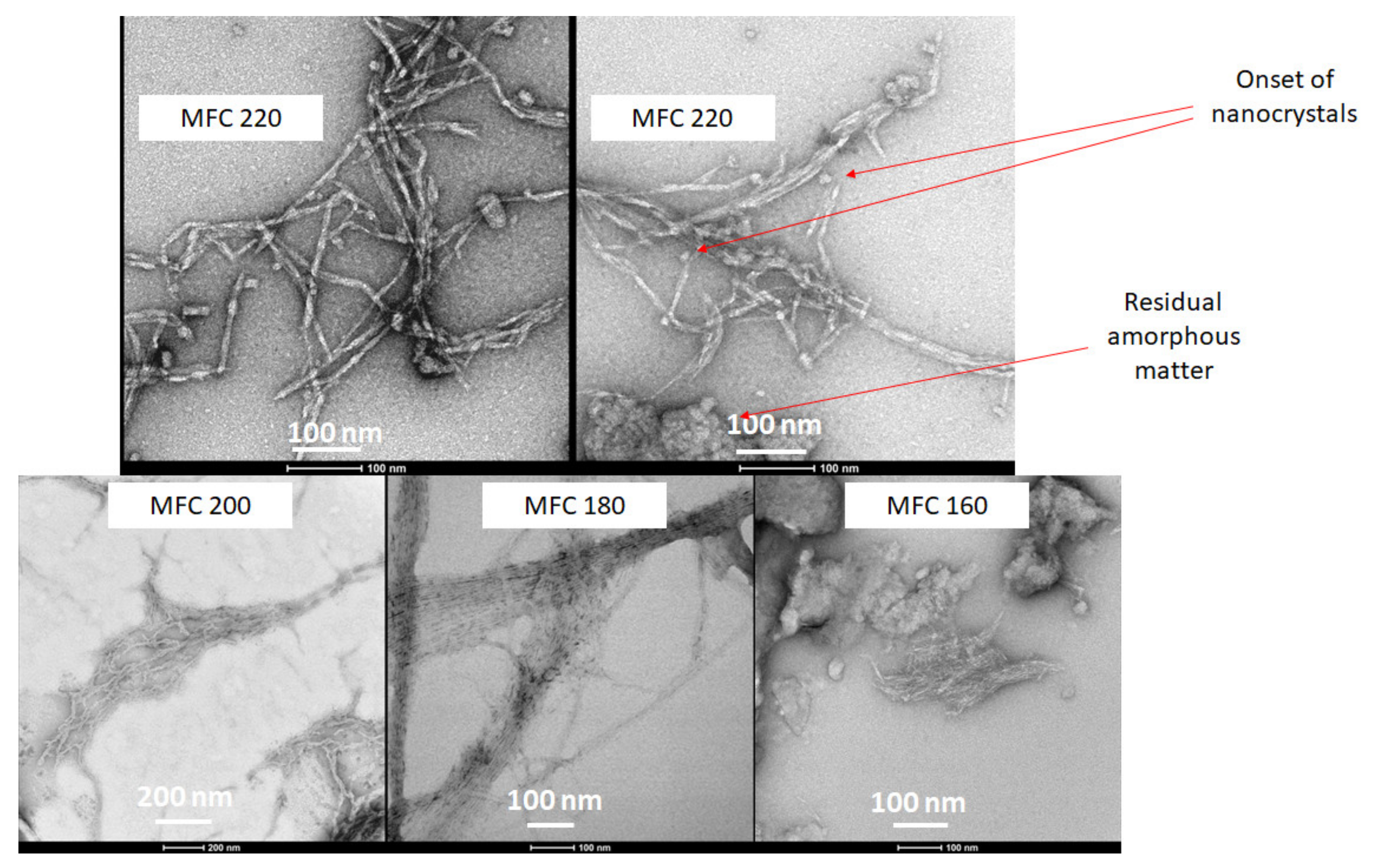 Molecules 26 04972 g009