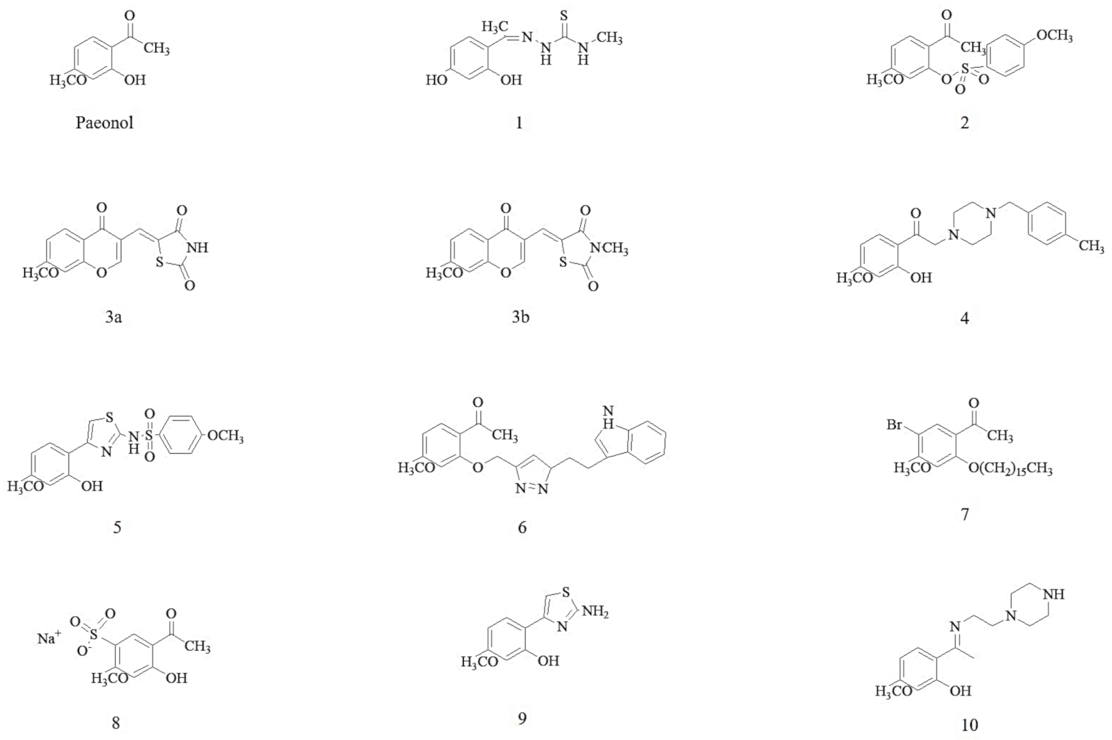 Molecules 26 04976 g001