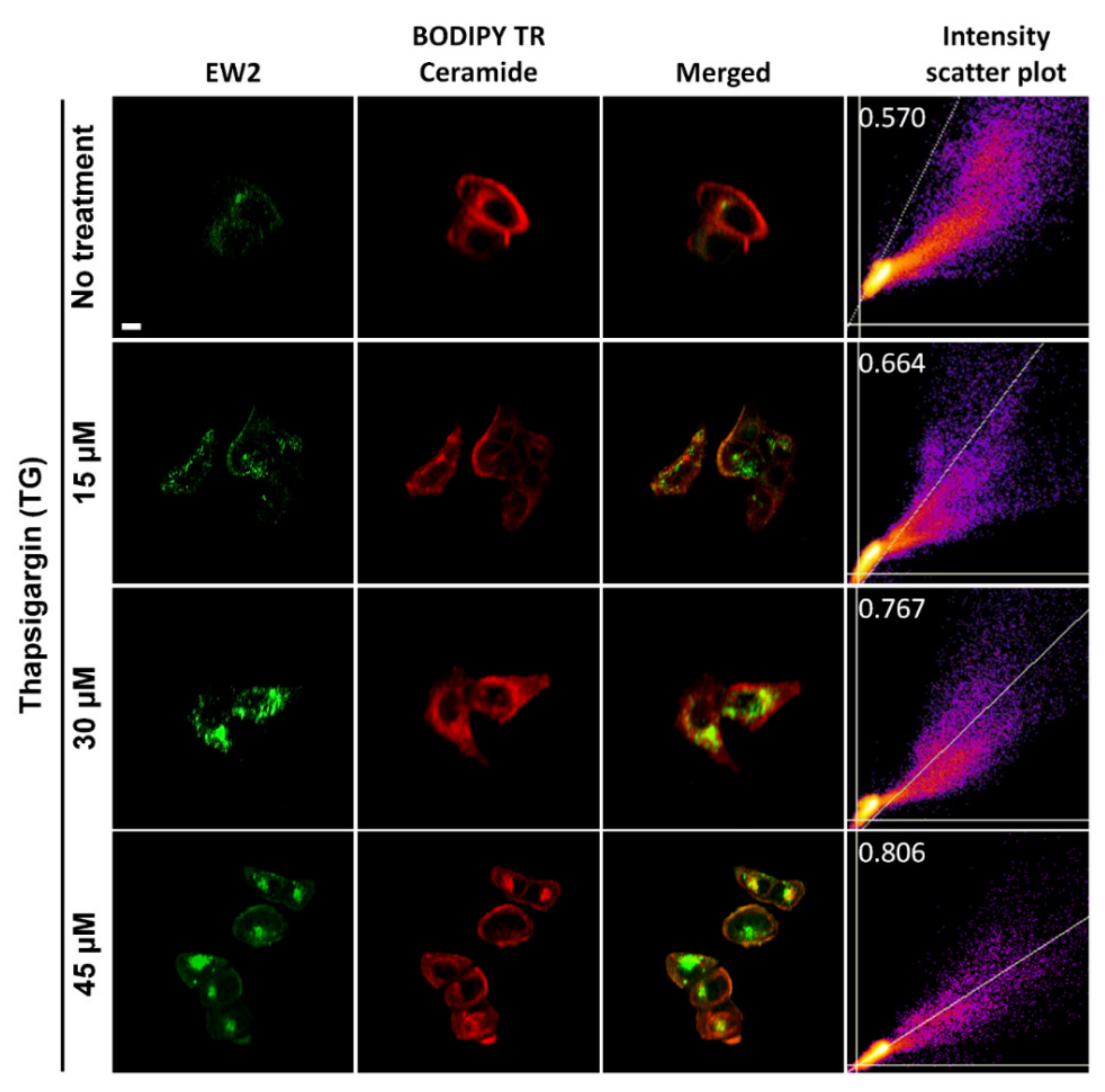 Molecules 26 04980 g005