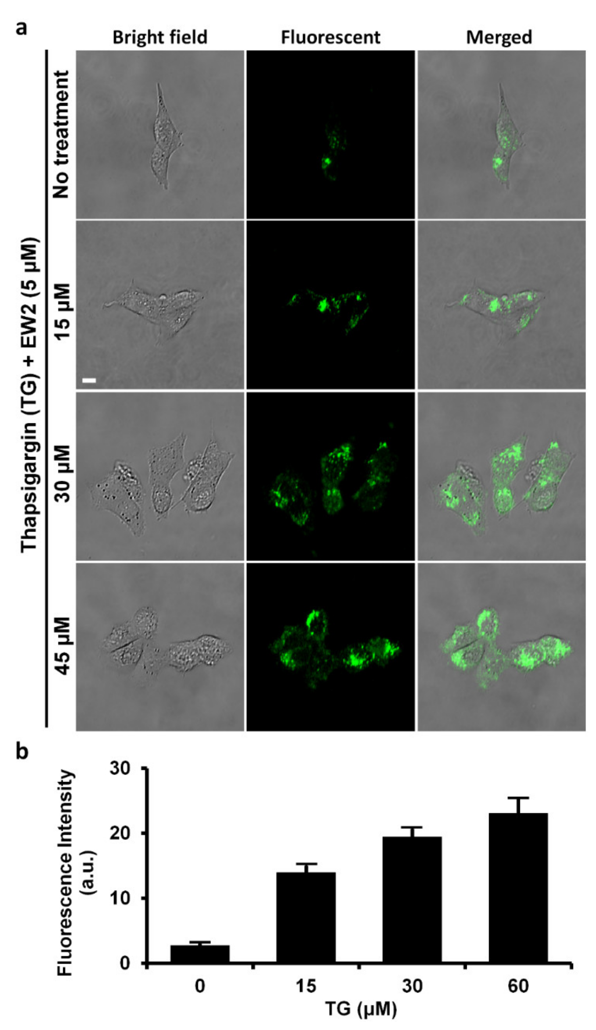 Molecules 26 04980 g006