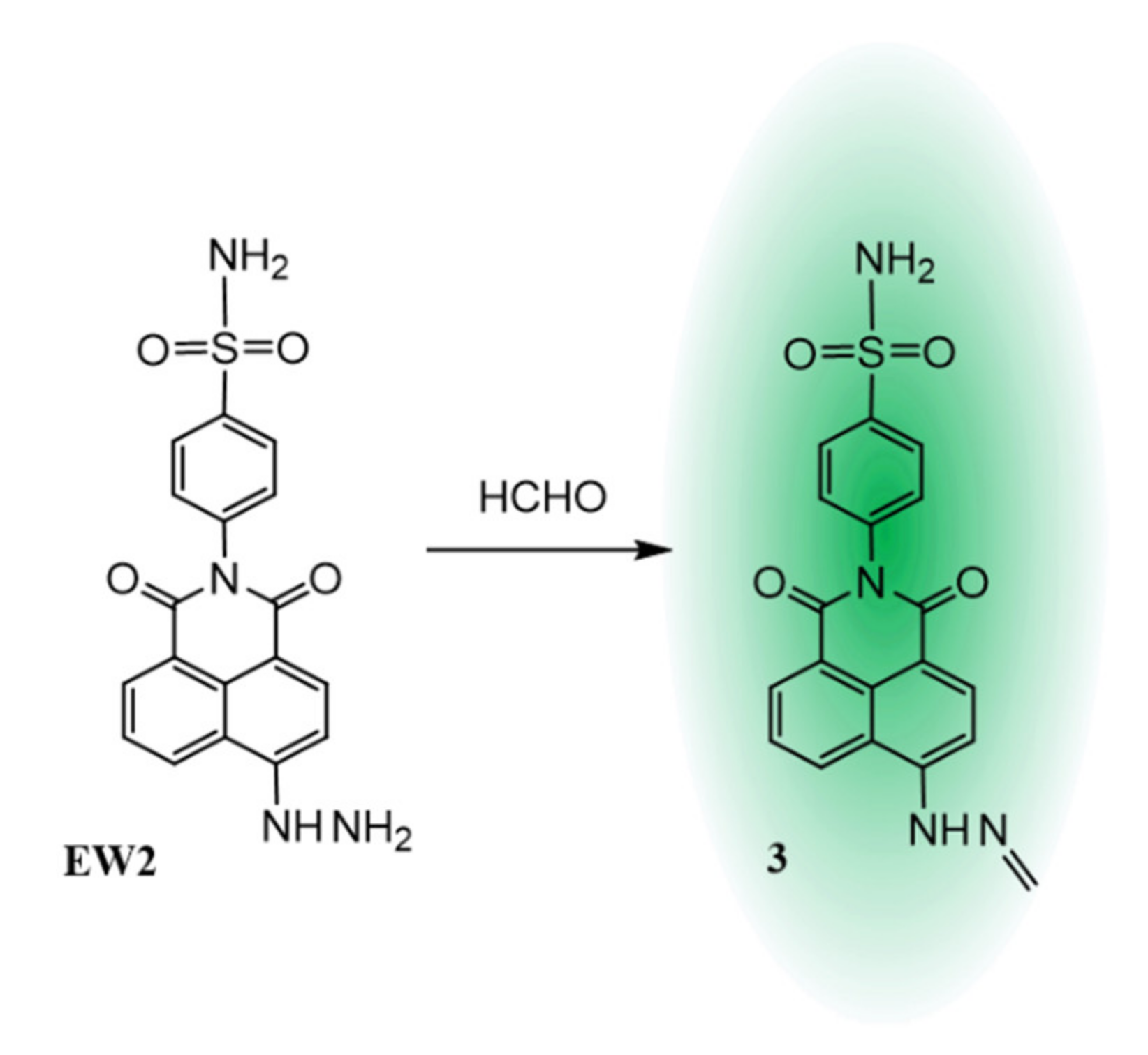 Molecules 26 04980 sch002