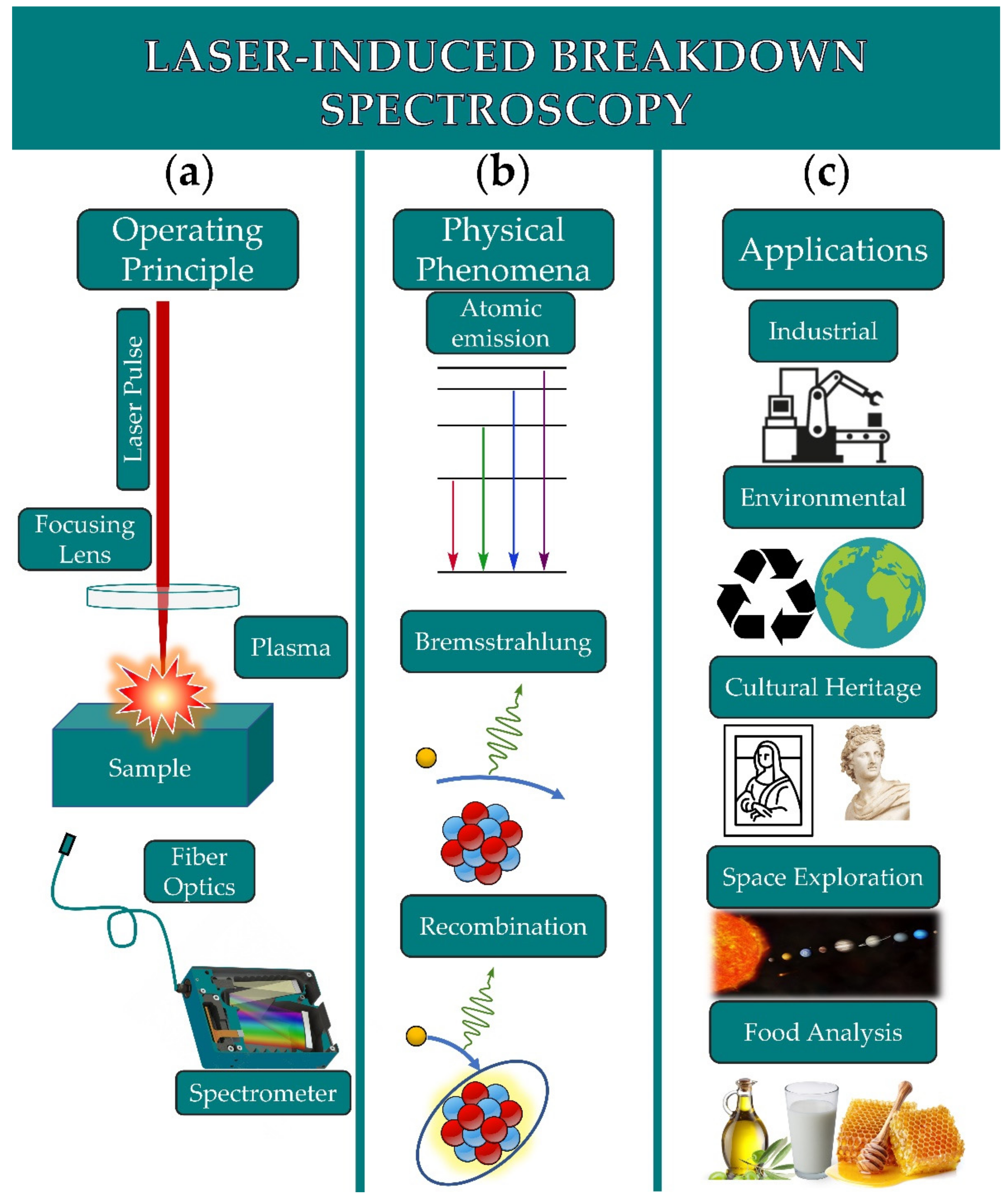 Molecules 26 04981 g001