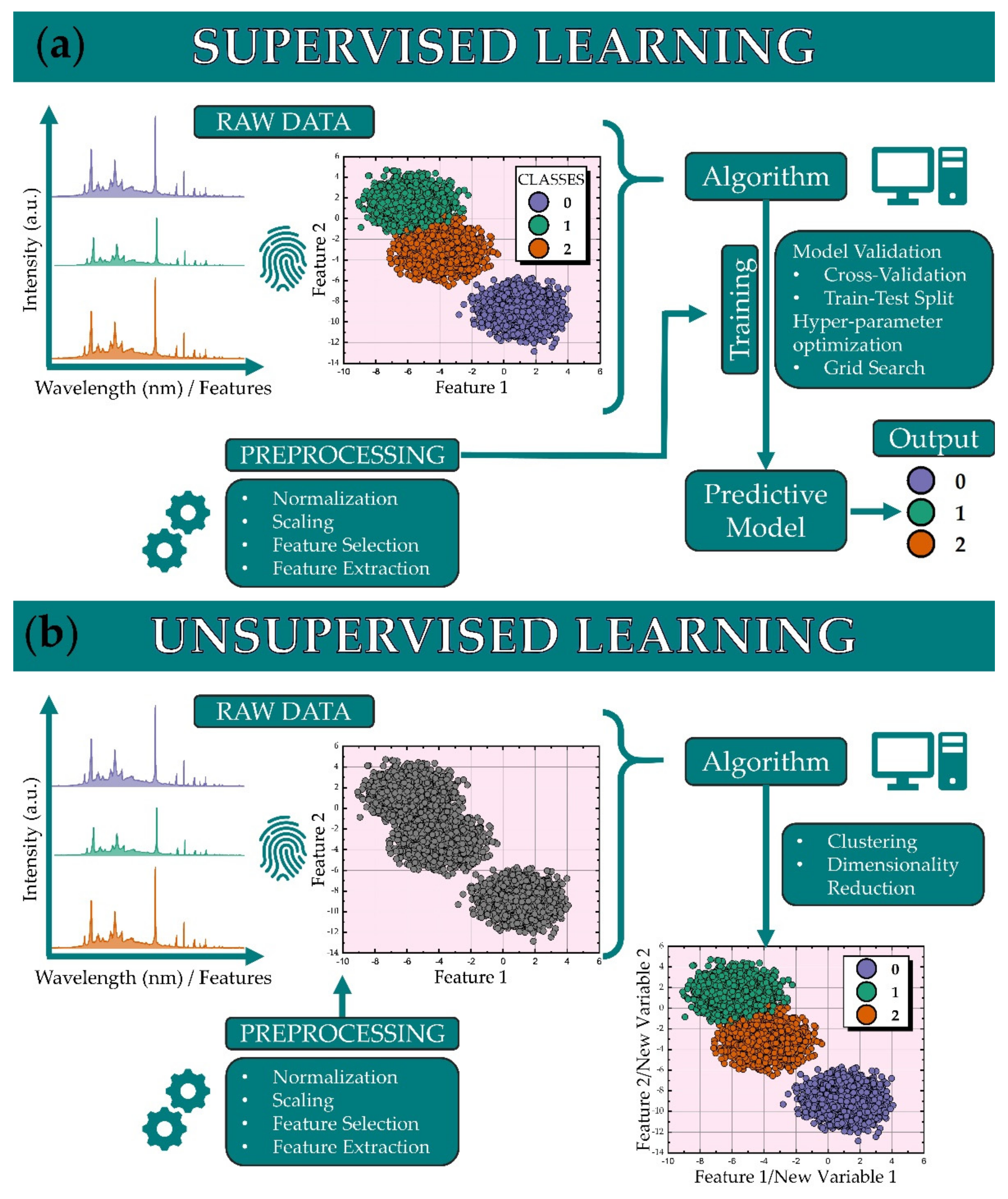 Molecules 26 04981 g002