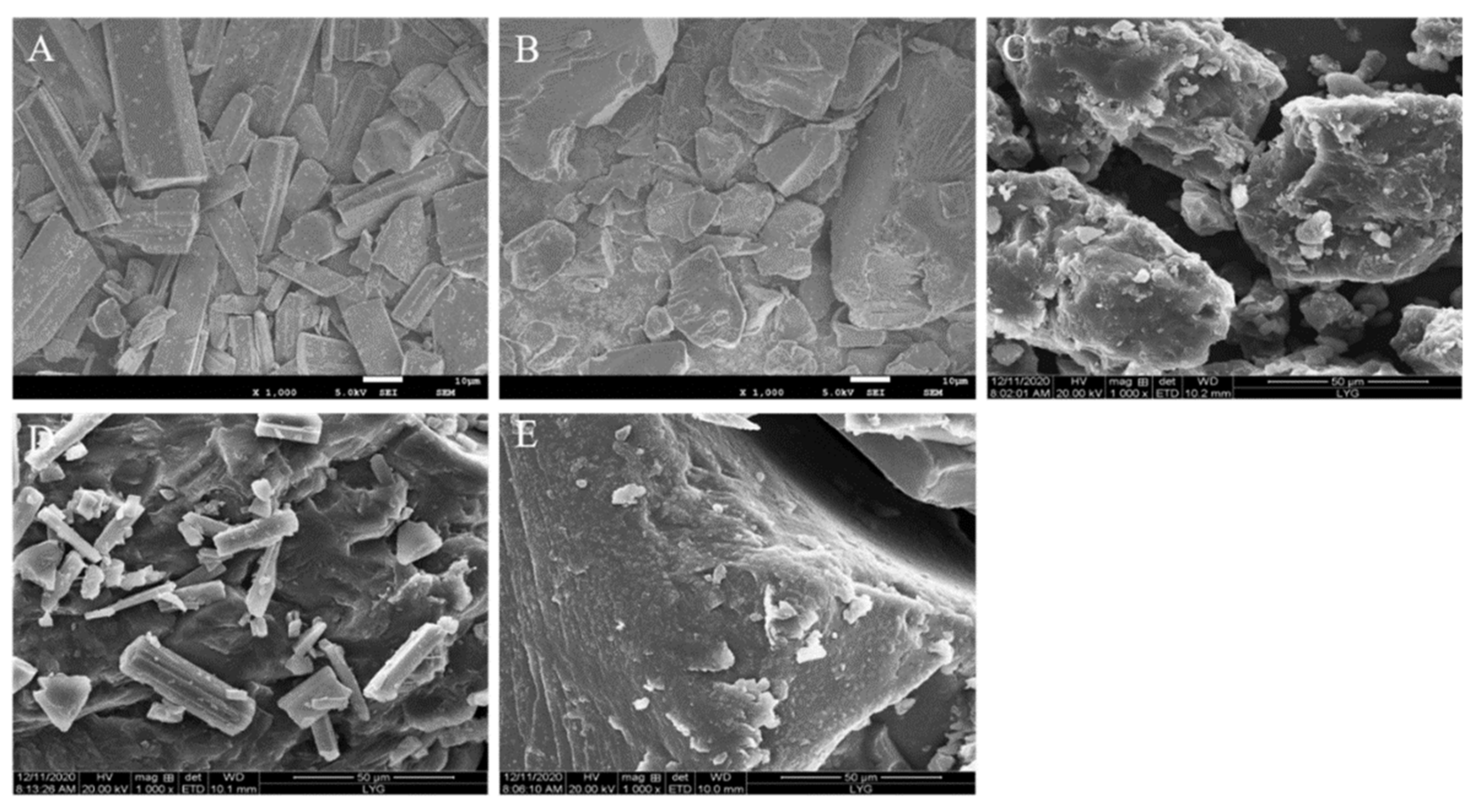 Molecules 26 04982 g013
