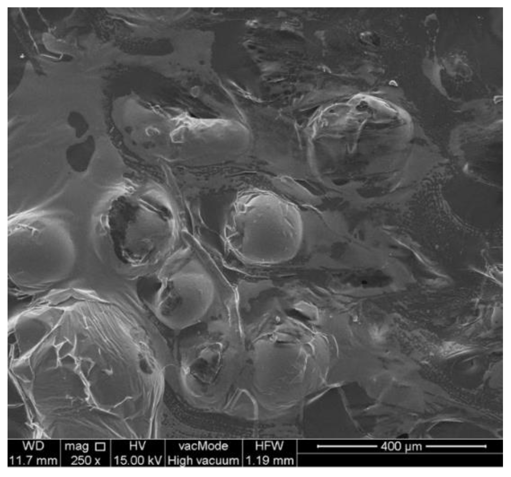 Molecules 26 04986 g003