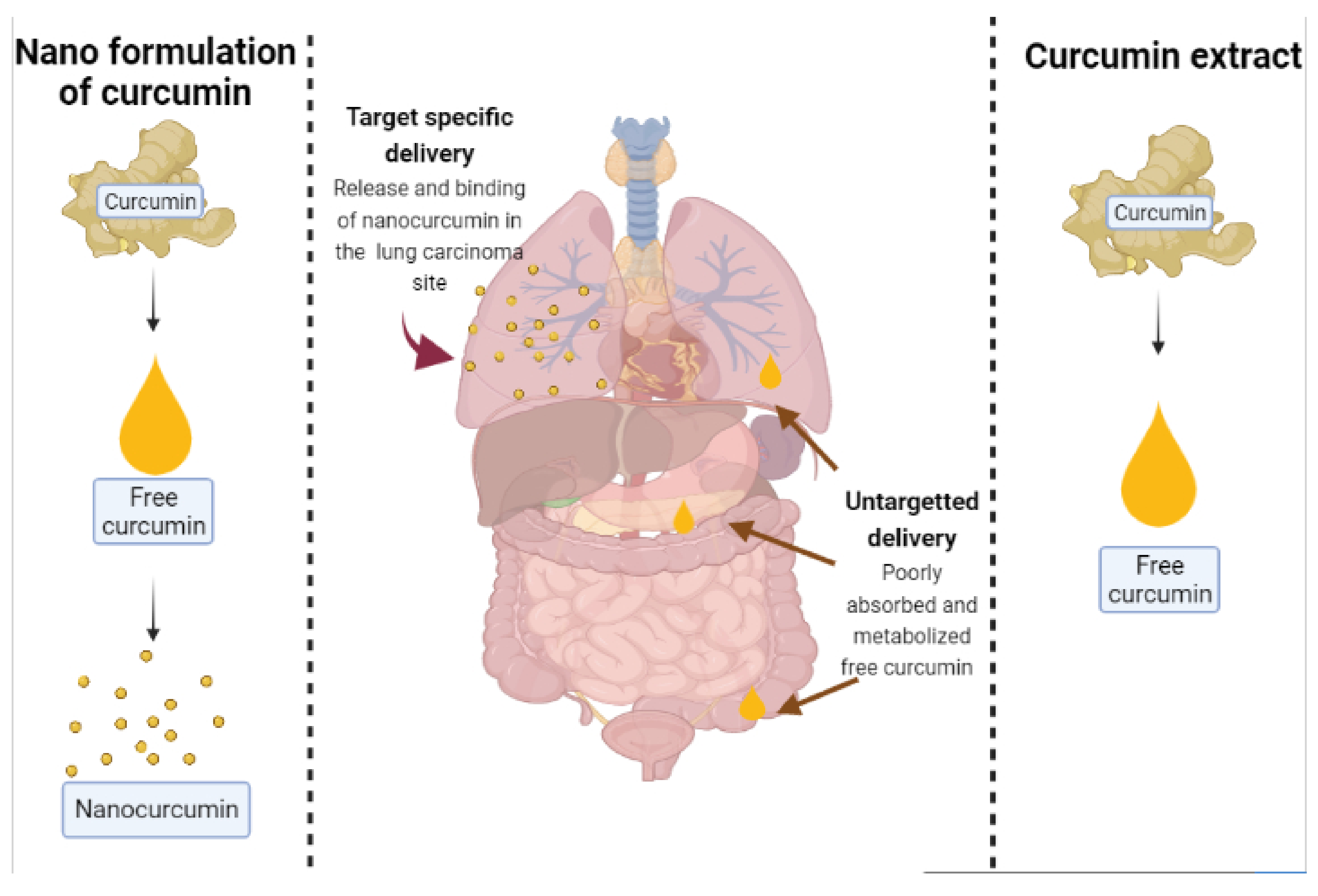 Molecules 26 04998 g002