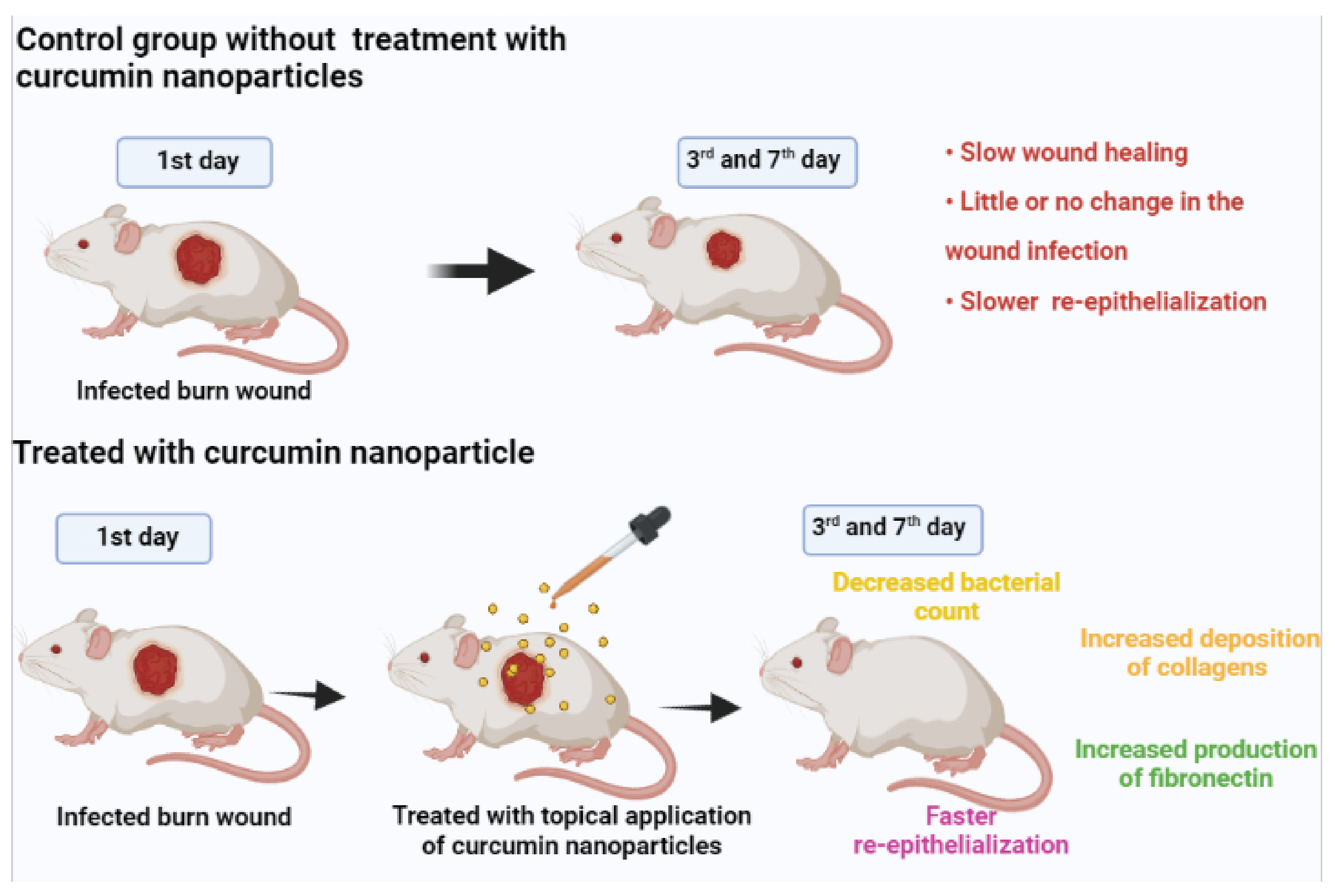 Molecules 26 04998 g003