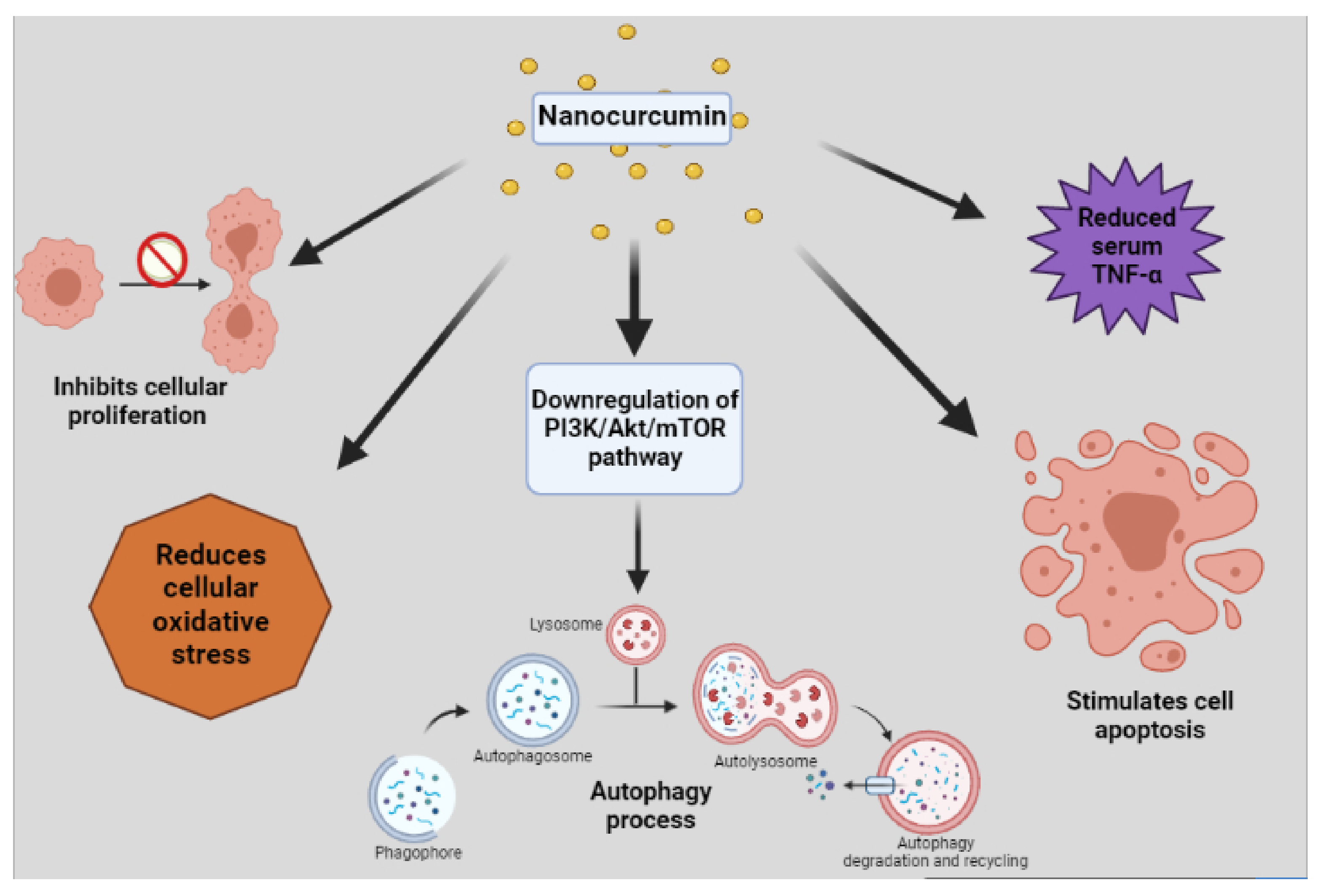 Molecules 26 04998 g004