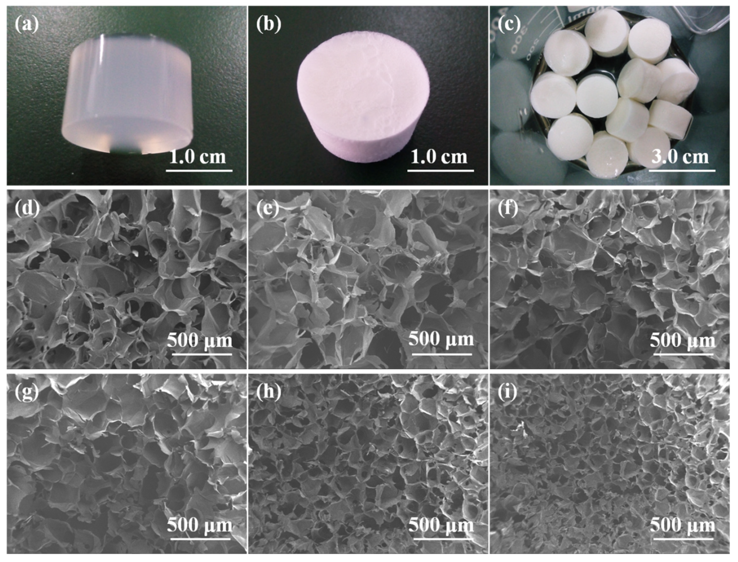 Molecules 26 05003 g003 Molecules 26 05003 g003