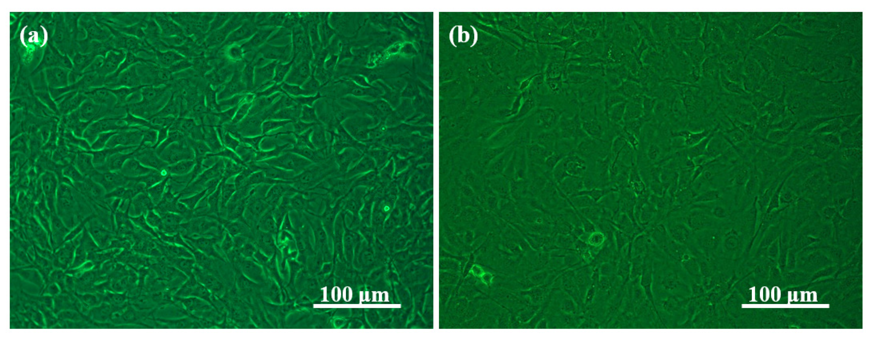 Molecules 26 05003 g008 Molecules 26 05003 g008