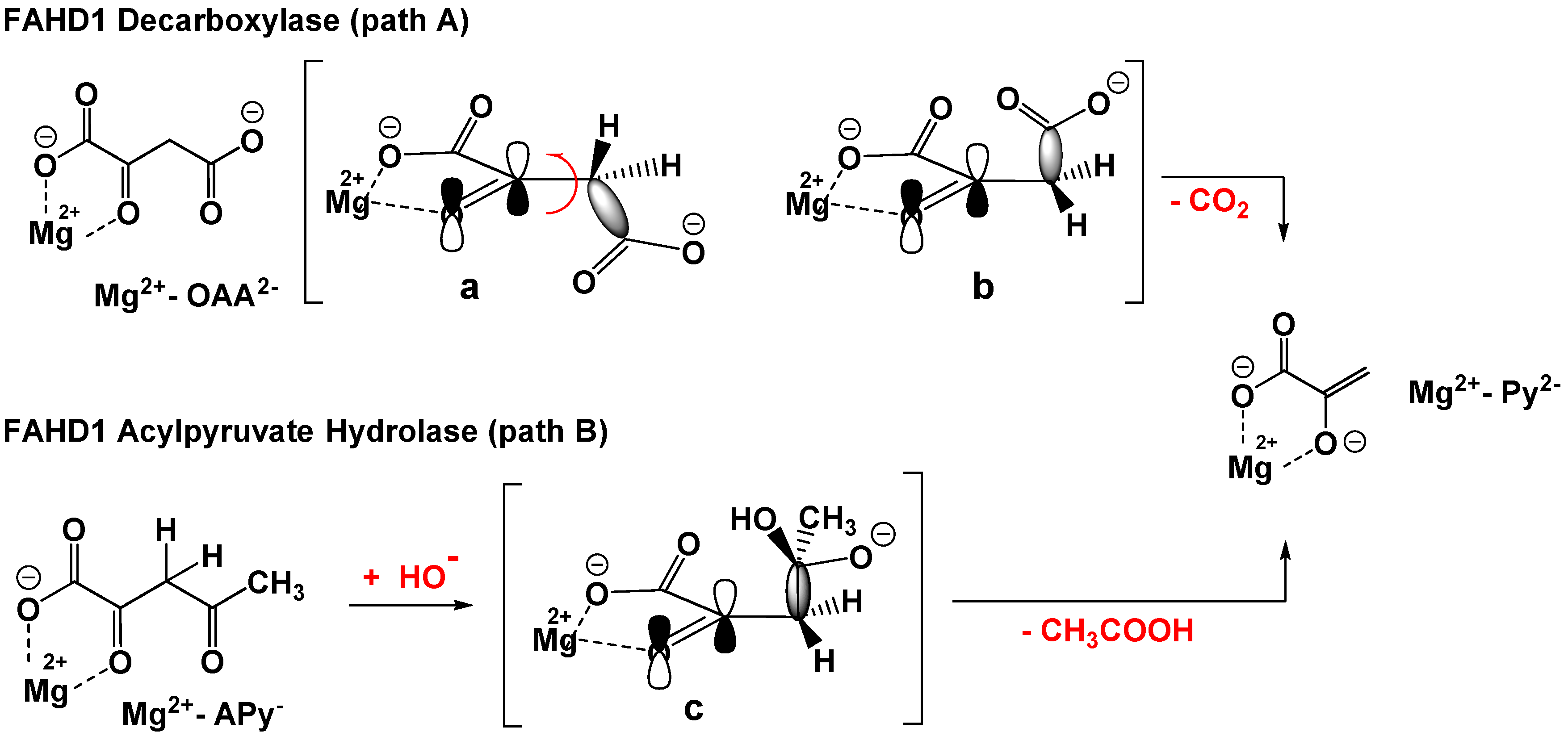 Molecules 26 05009 g001
