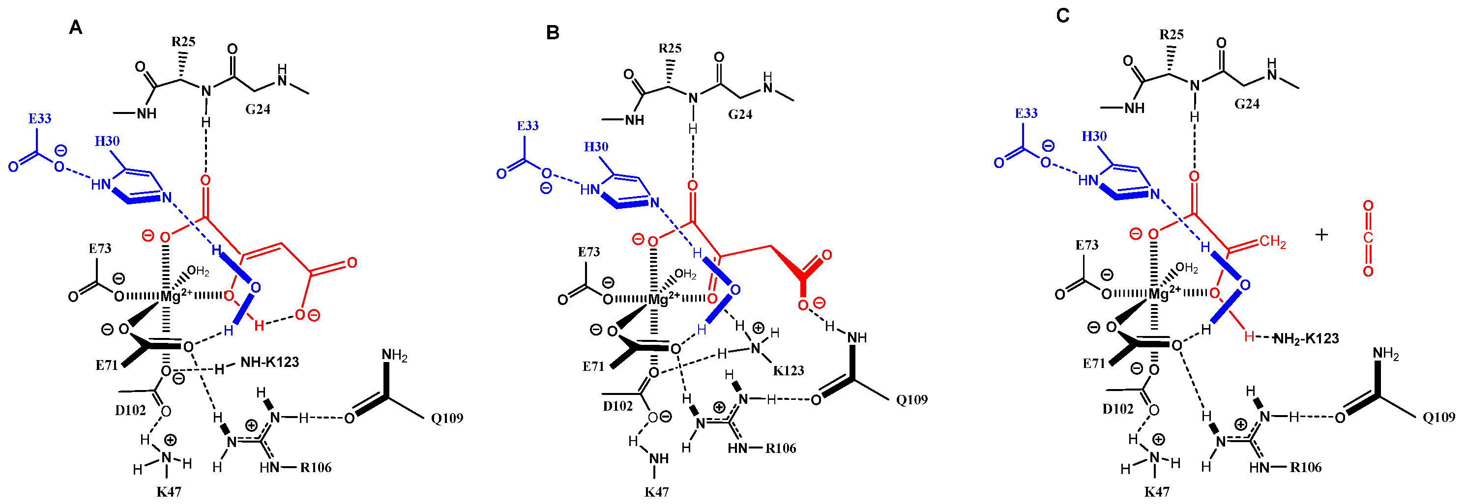 Molecules 26 05009 g002