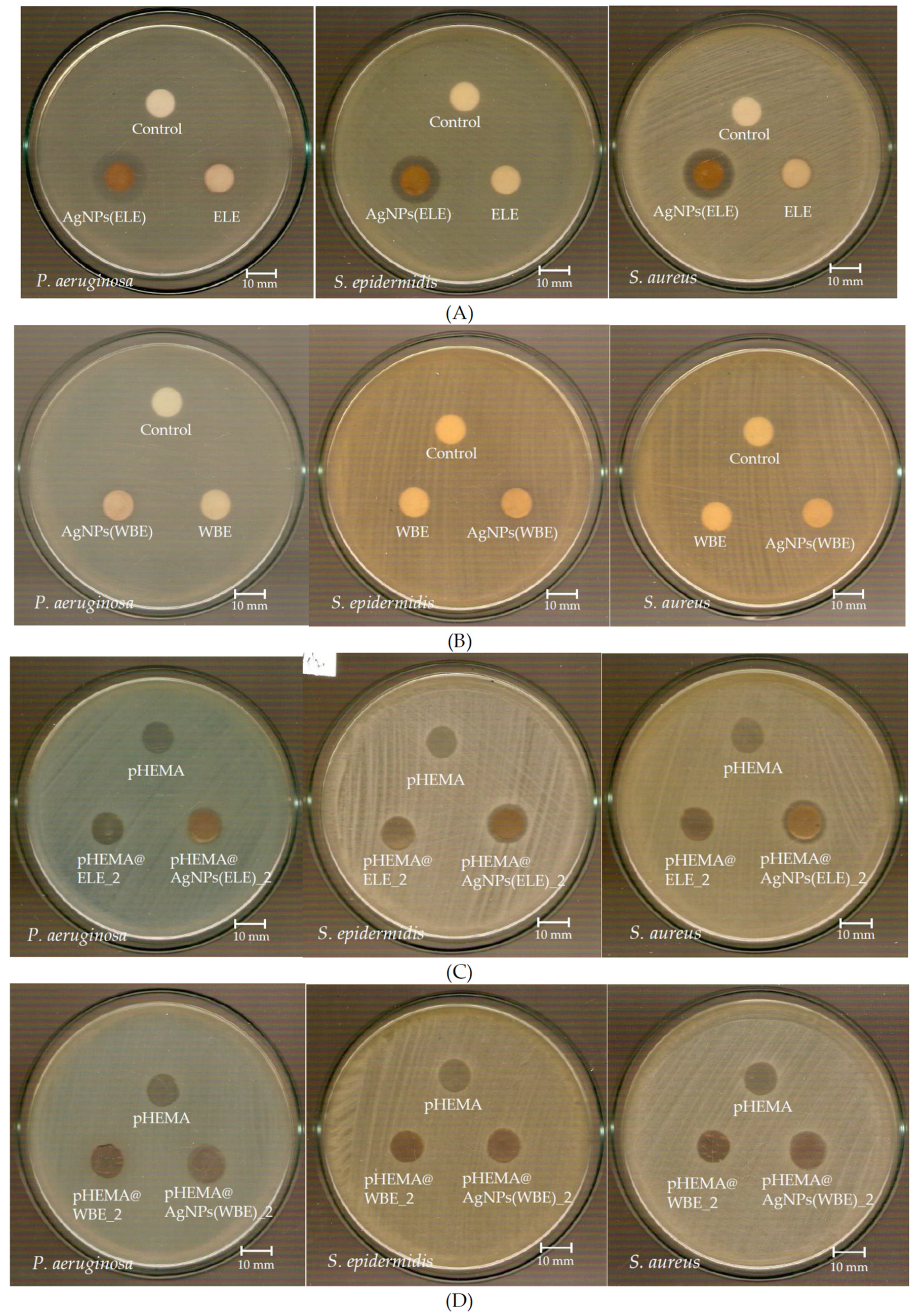 Molecules 26 05022 g006