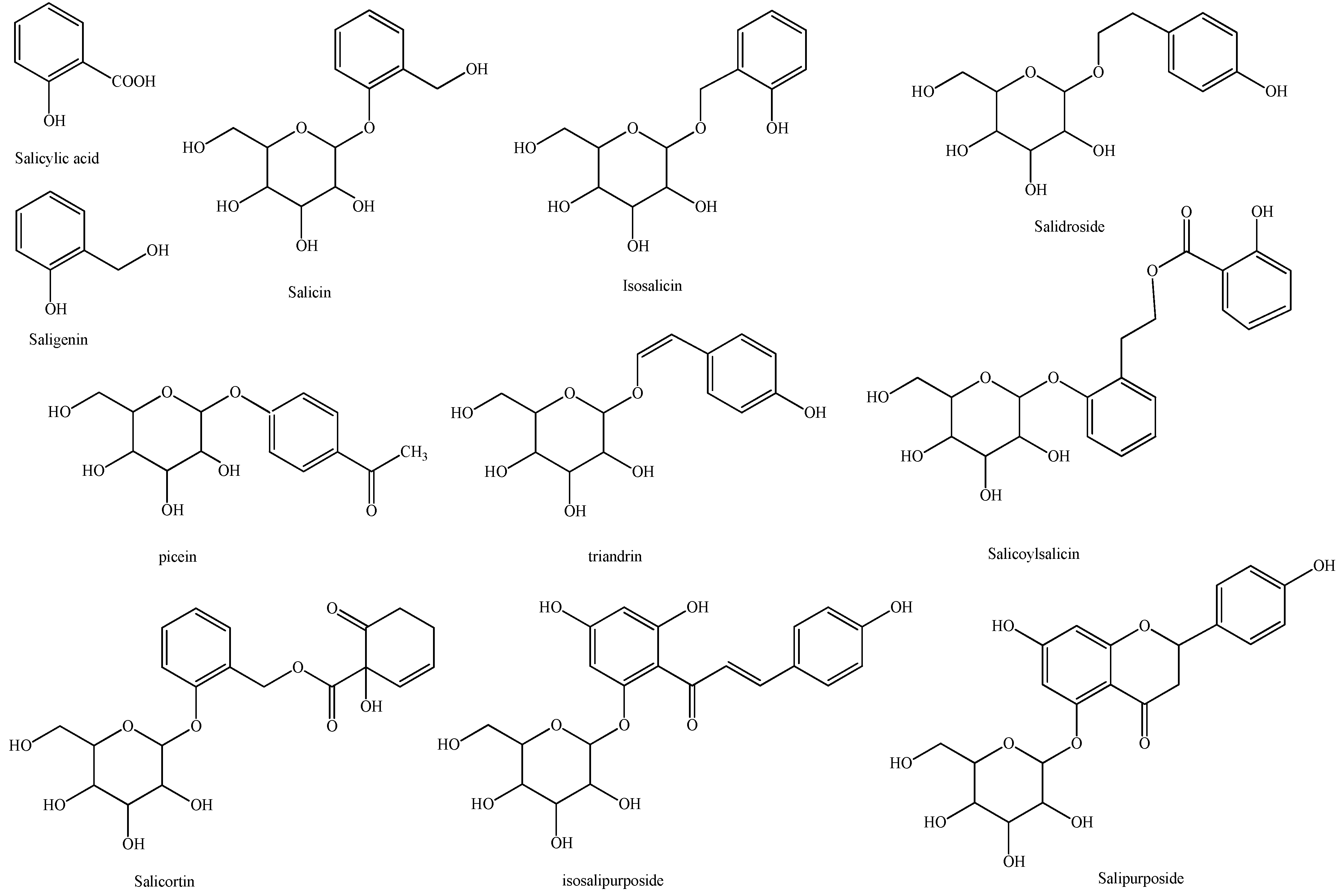 Molecules 26 05022 sch002