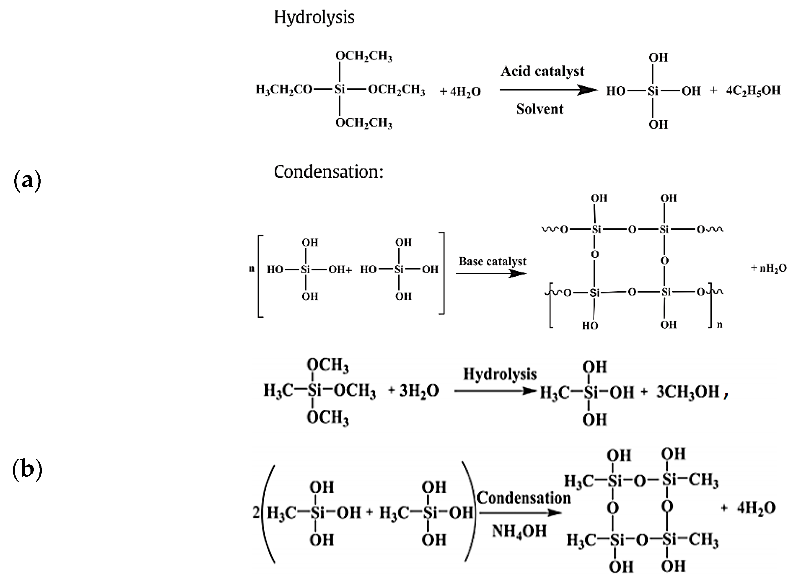 Molecules 26 05023 sch001