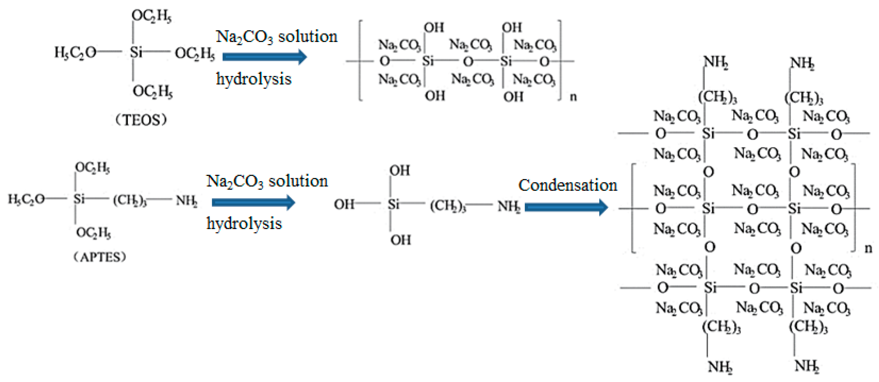Molecules 26 05023 sch004