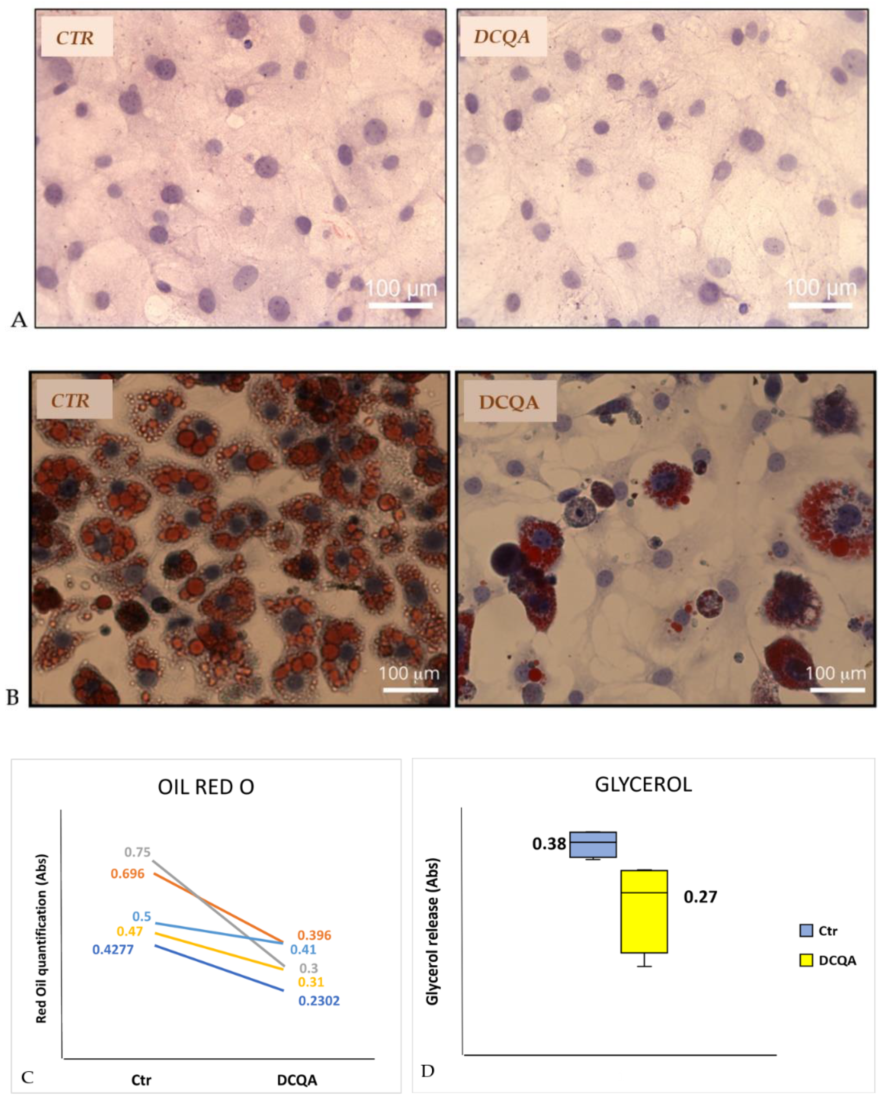 Molecules 26 05027 g002