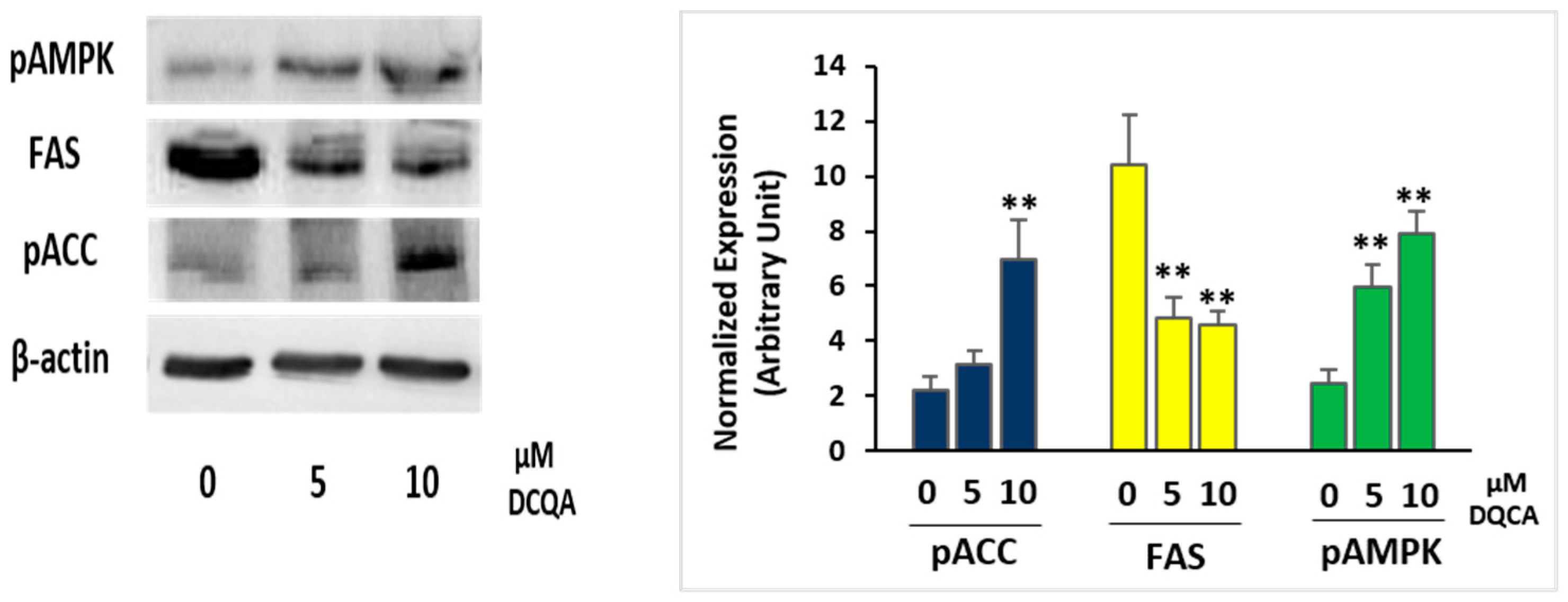 Molecules 26 05027 g003
